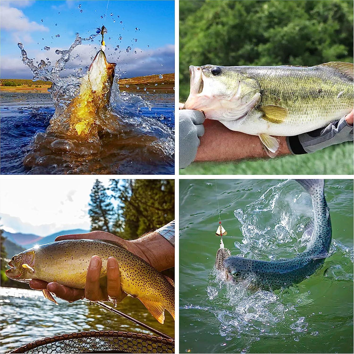 Spinnerbait Fishing Lures Kit Set - 6pcs Multicolor Buzzbait for Bass,  Trout, Salmon - Metal Spinner Baits for Freshwater and Saltwater Fishing |  Buy Now with Express International Delivery | GoSupps.com