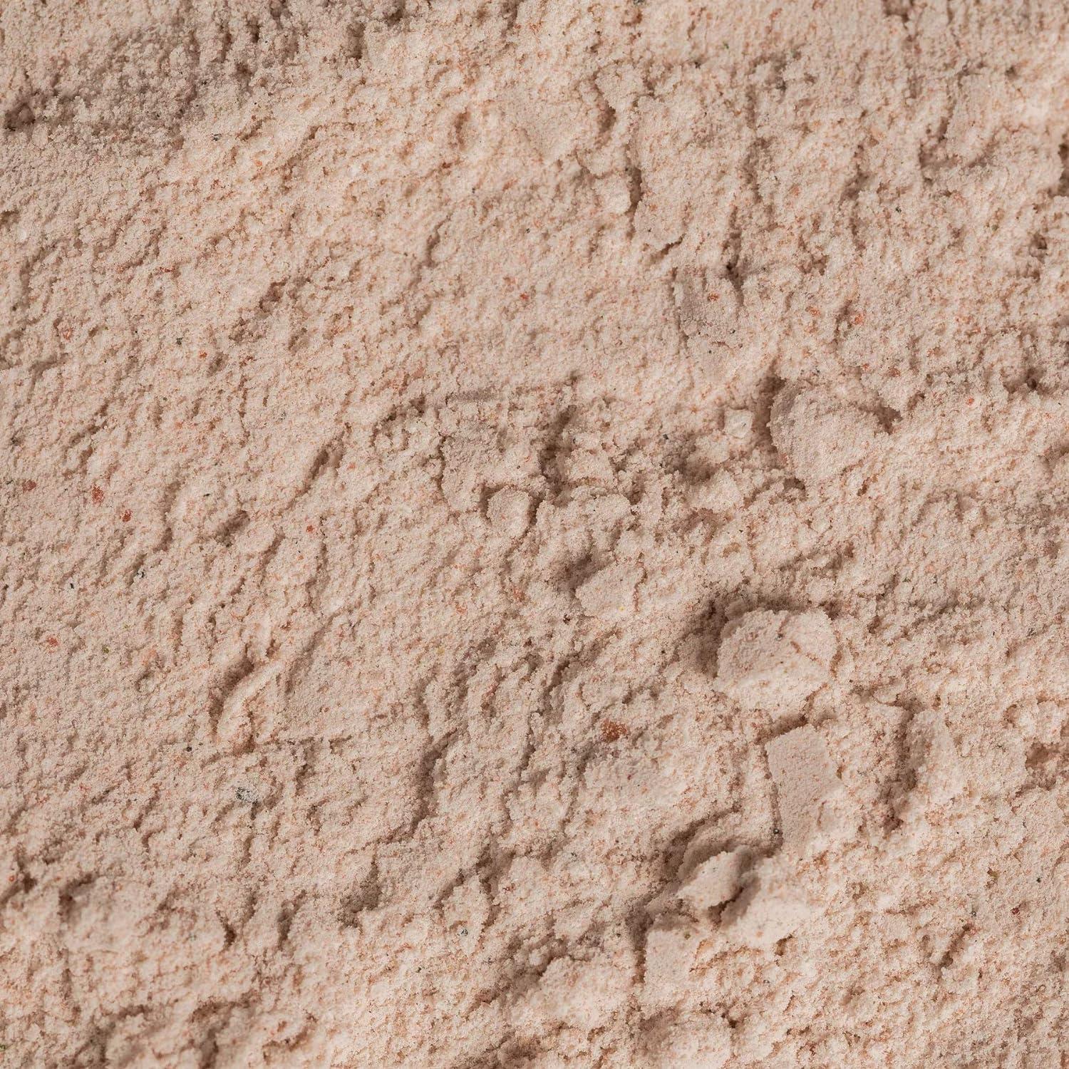 Whole Food Earth Kala Namak (Black Himalayan Salt) 500 G