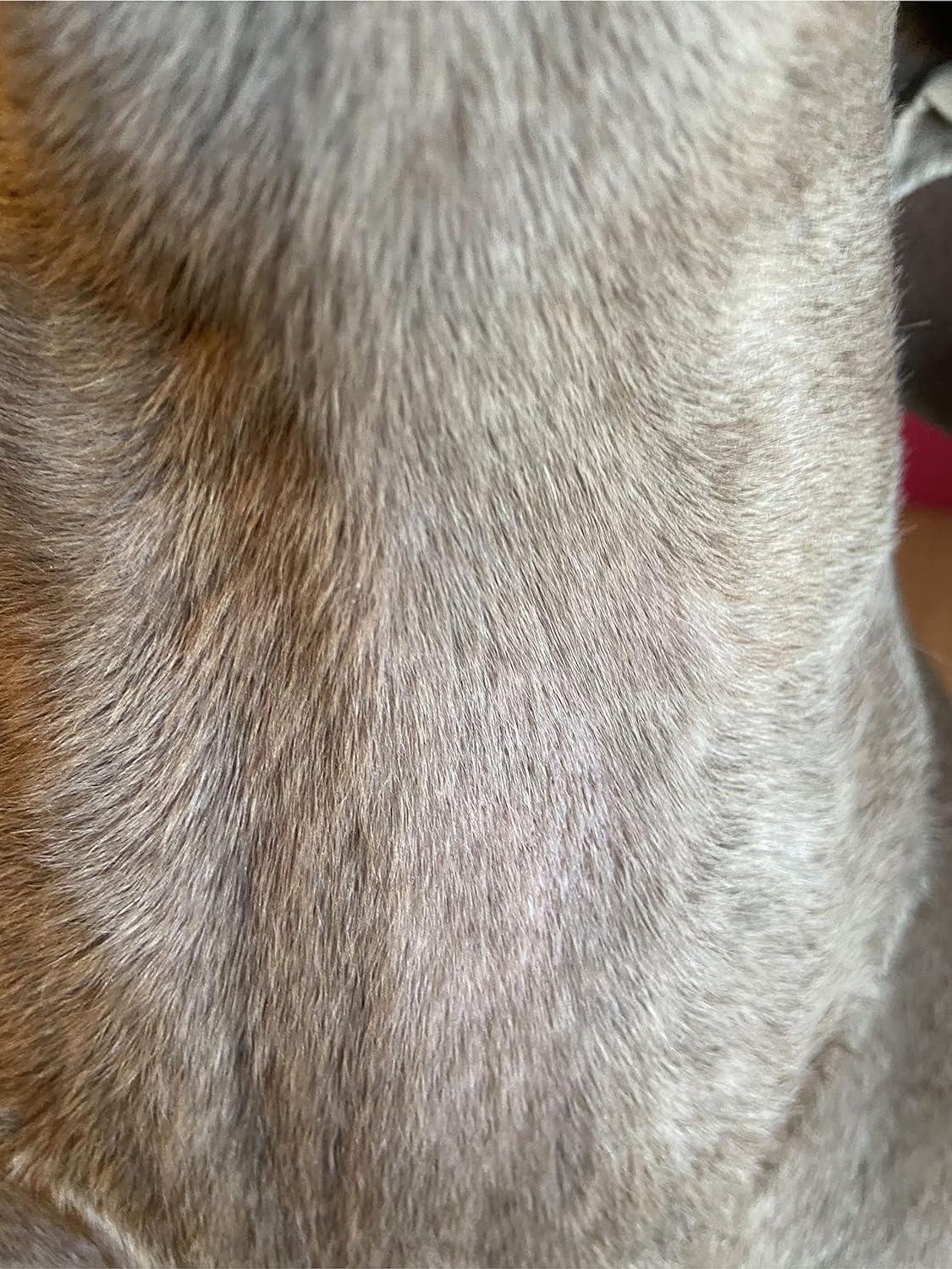 K9 Skin Repair Spot's Soothing Salve Organic Ointment with Vitamin E