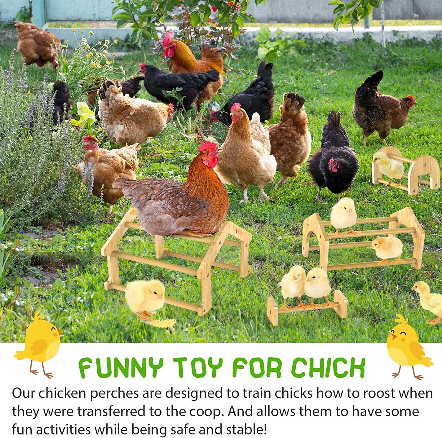 PETSFIT Chick Roosting Bar Prevent Rotation Design, Solid... PETSFIT Chick Roosting Bar Prevent Rotation Design, Solid...