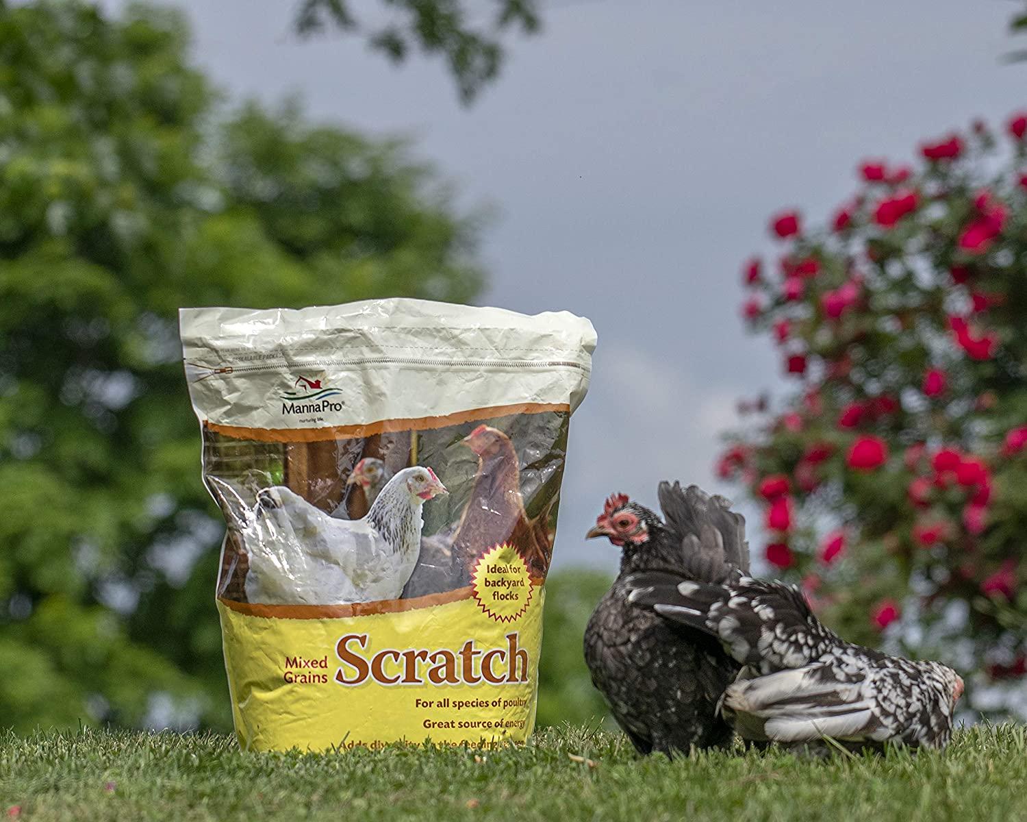 Manna Pro Ultimate Scratch Chicken Feed Nutrient Rich Chicken Treat 10