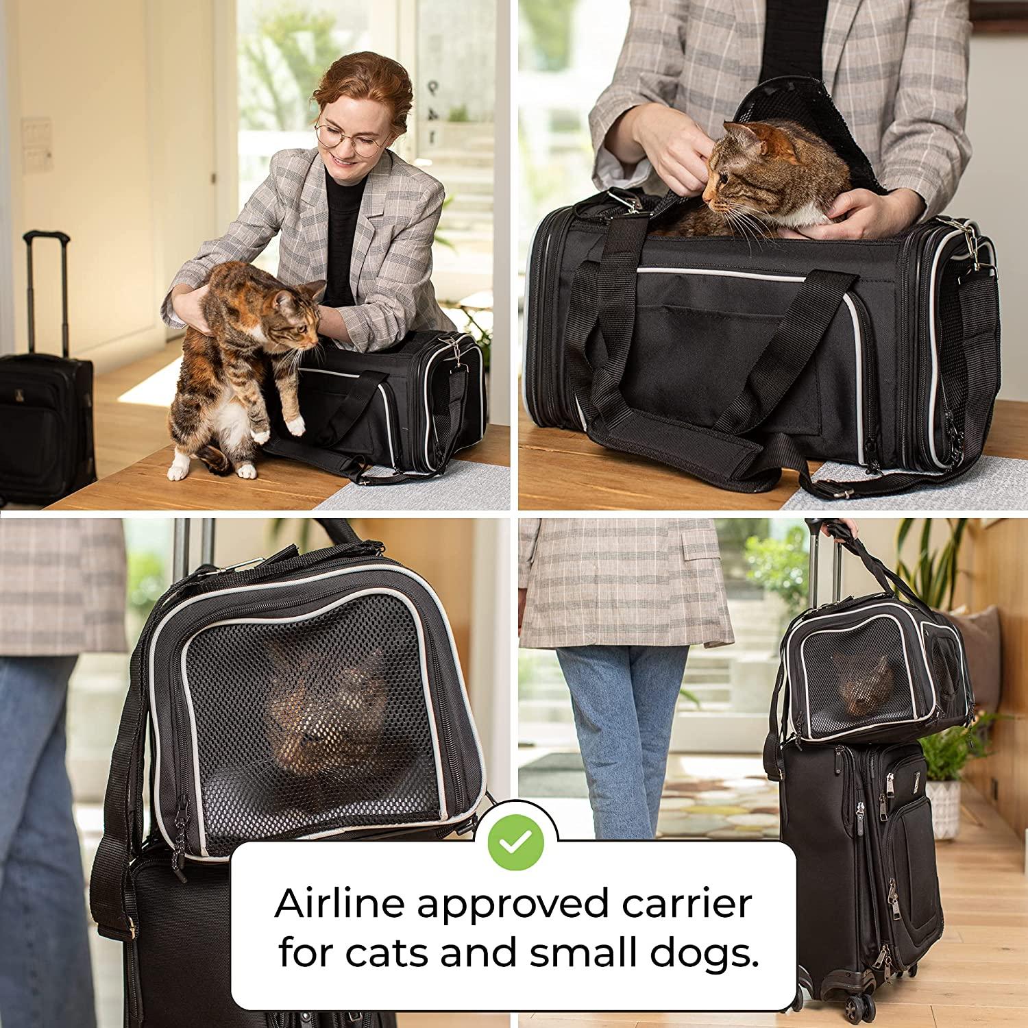 Smiling Paws Pets - TSA Airline Approved Pet Carrier for Small Dogs and  Cats - Expandable - Compact & Collapsible Travel Dog Cat Carrier - 9 Inches  Tall - Fits Under Airplane Seat (17x11x9)