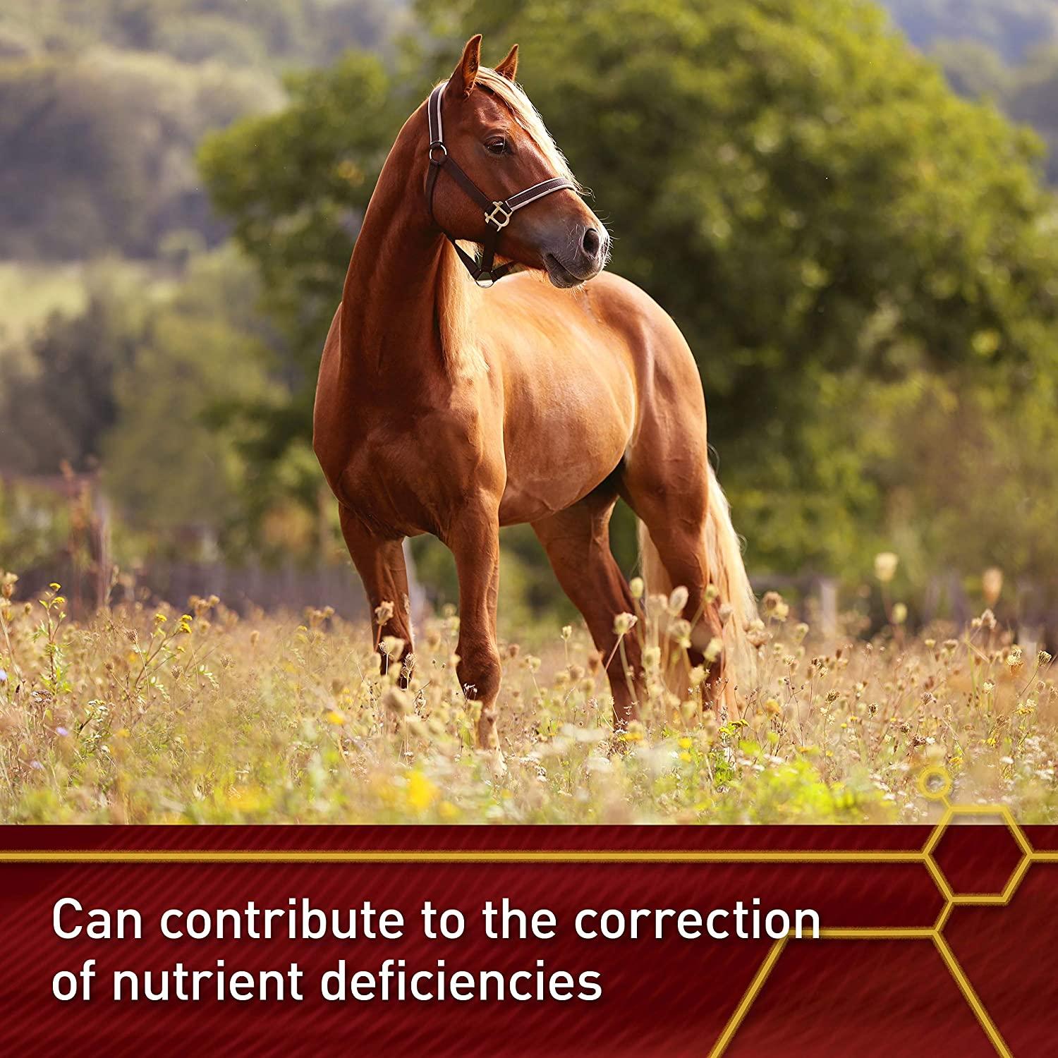 Vita Flex Pro E and Horse Selenium Supplement Balanced Essential