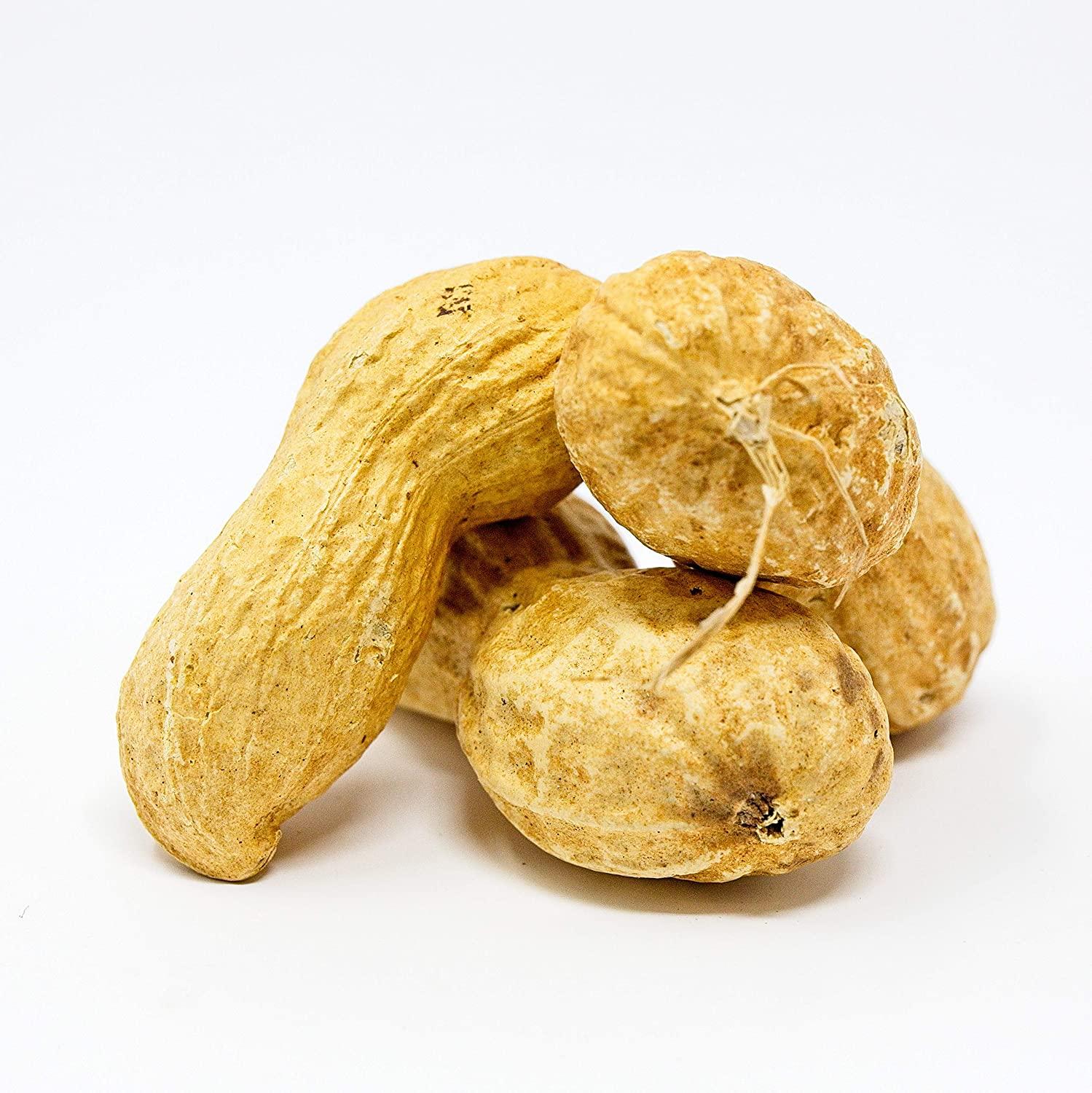 Premium USA Grown Raw Peanuts in Shell for Squirrels 2.5lb Unsalted