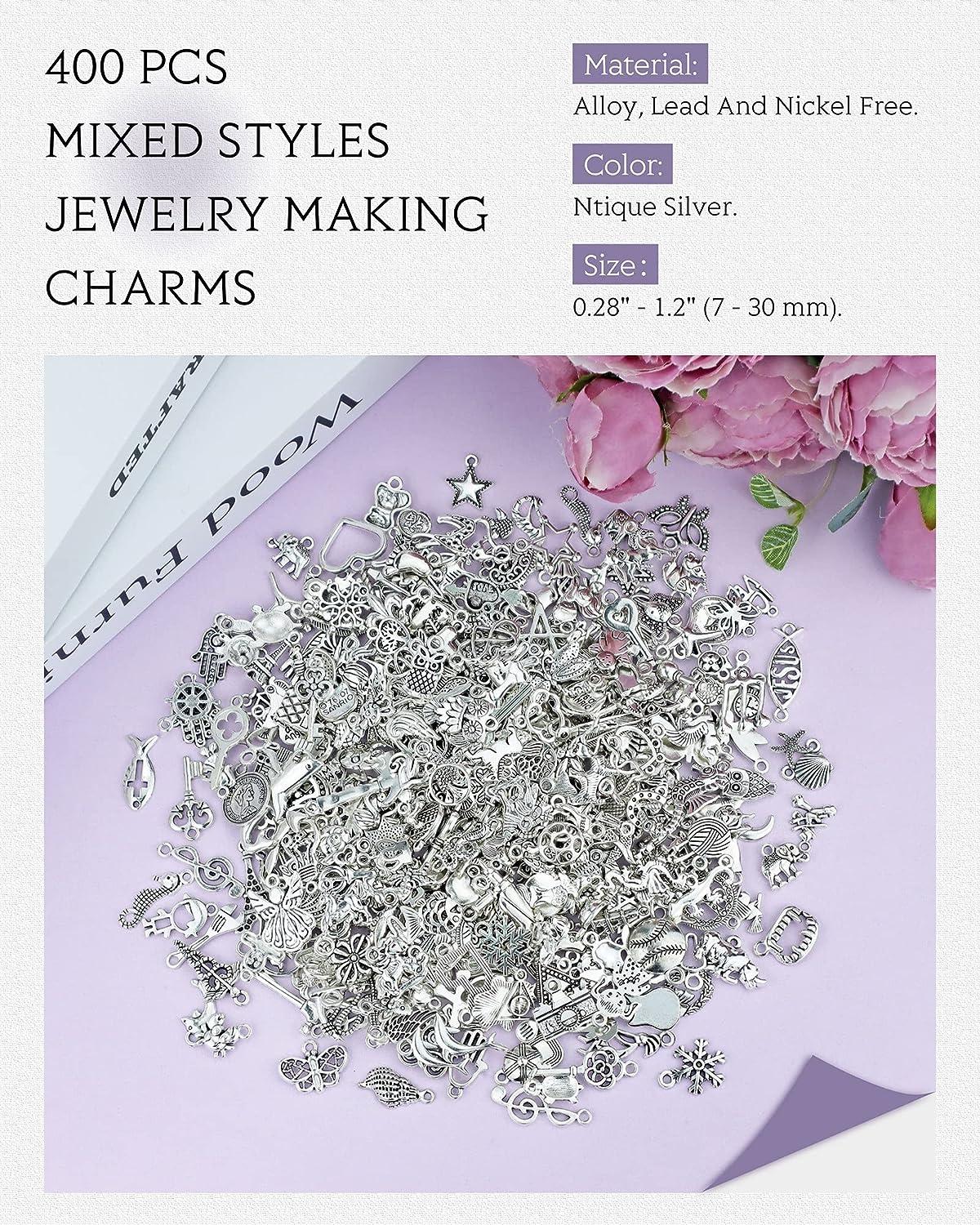 JIALEEY 400 PCS Wholesale Bulk Lots Jewelry Making Charms Mixed Smooth  Tibetan Silver Alloy Charms Pendants DIY for Bracelet Necklace Jewelry  Making and Crafting