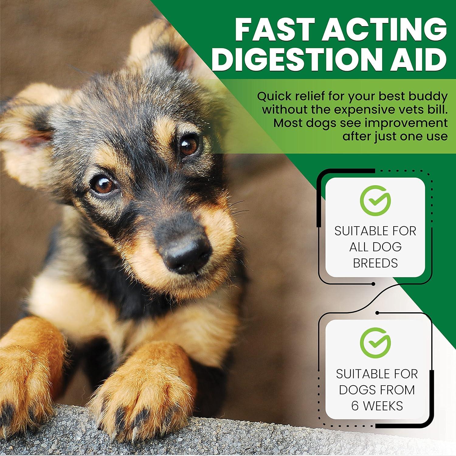 Stomach relief for dogs top