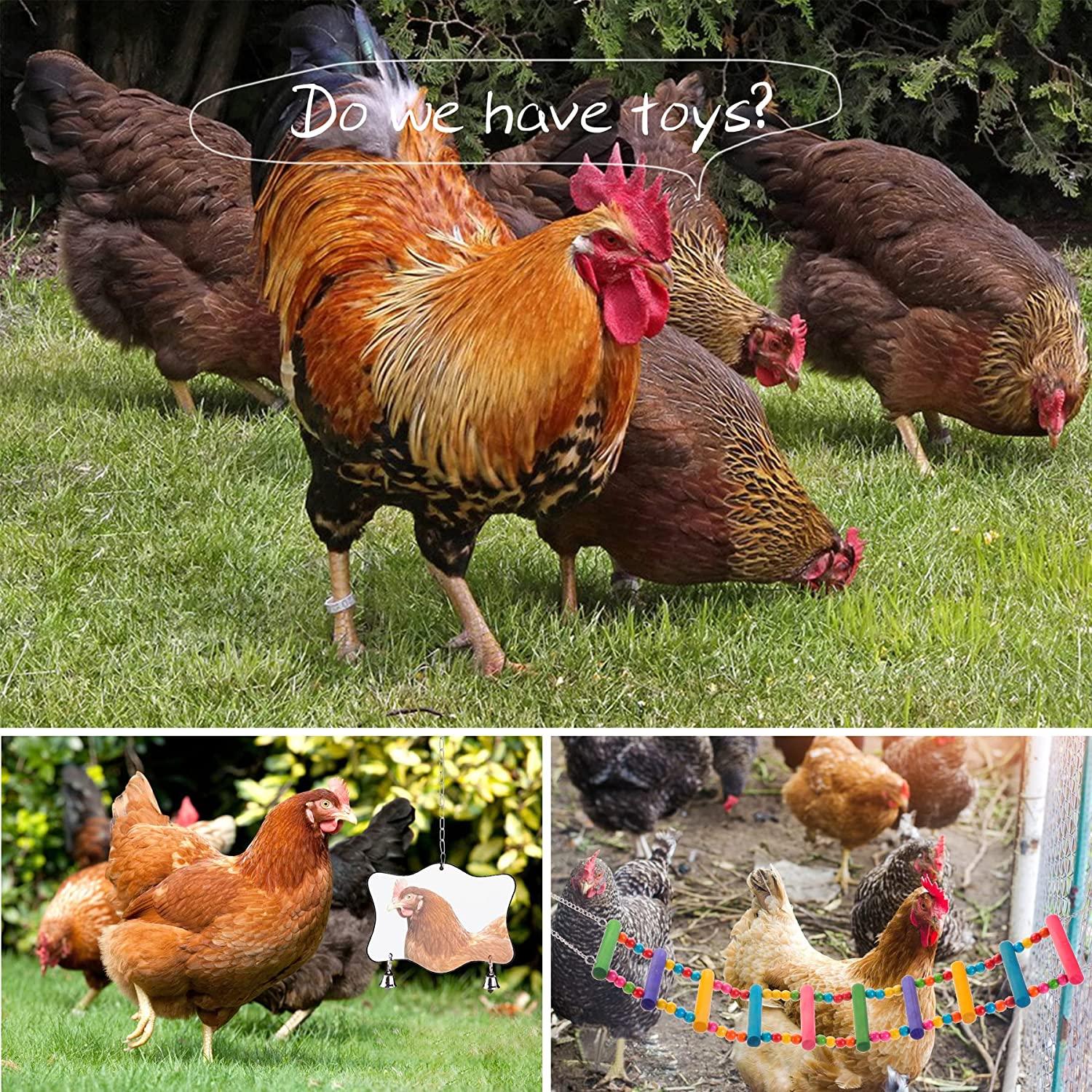 5 Packs Chicken Toys, Chicken Xylophone Toys, Chicken Irror Toys For - View #7