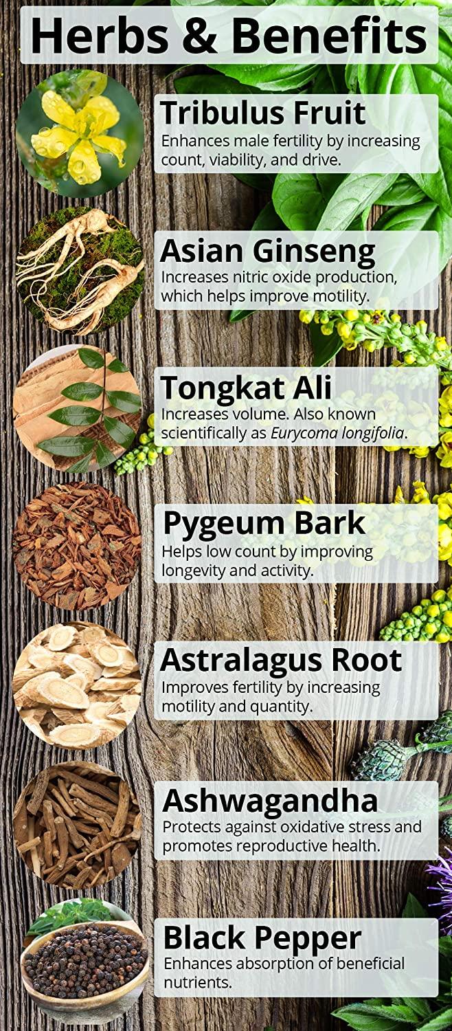 Happy Healthy Hippie Positively Pregnant for Dads AllNatural Fertility