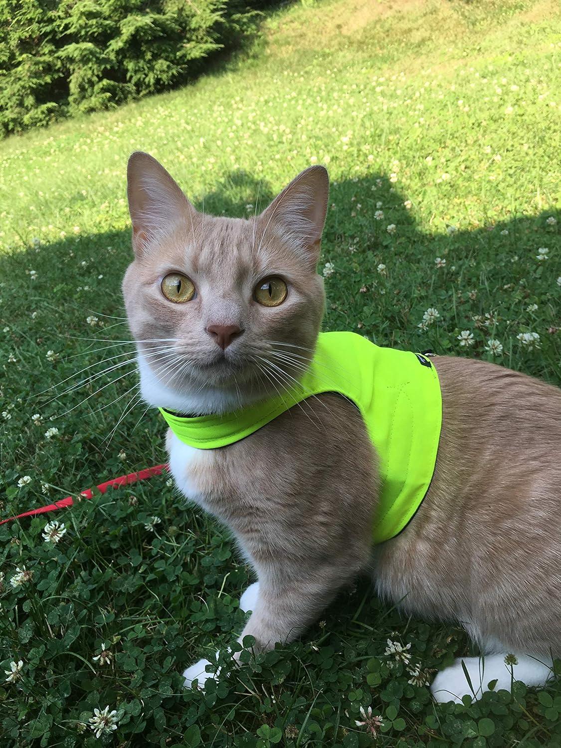 Mynwood Cat Jacket/Harness High Viz Adult Cat