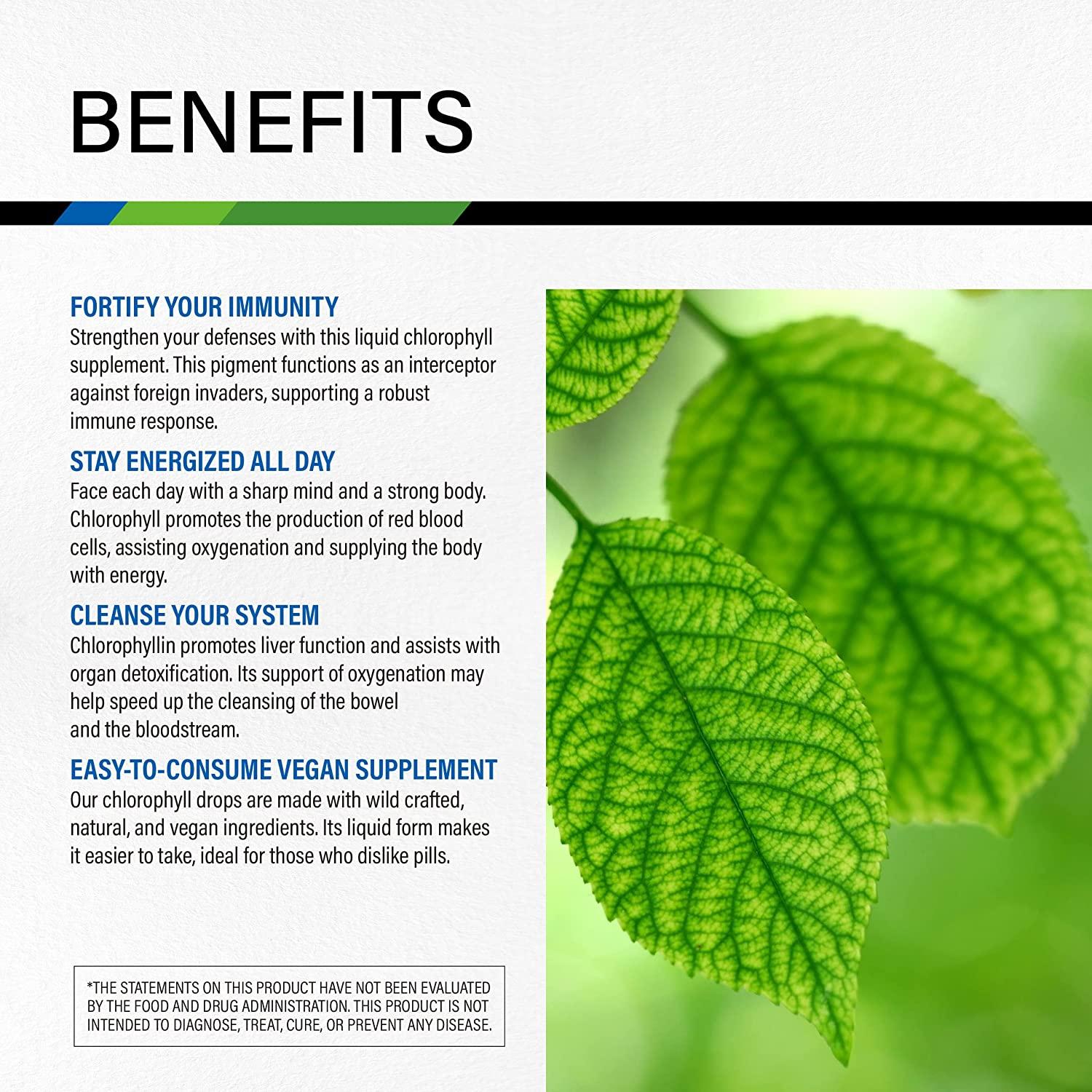 Chlorophyll Liquid Drops Organic Sodium Copper Chlorophyllin Extract