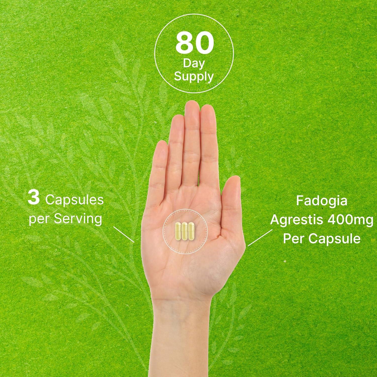 Fadogia Agrestis Extract 1200mg Per Serving, 240 Capsules - Third Party  Tested - Ultra Strength 50:1 Extract from Root, Plant Based, Highly  Purified and Bioavailable, Gluten Free, Non-GMO | Buy Now with