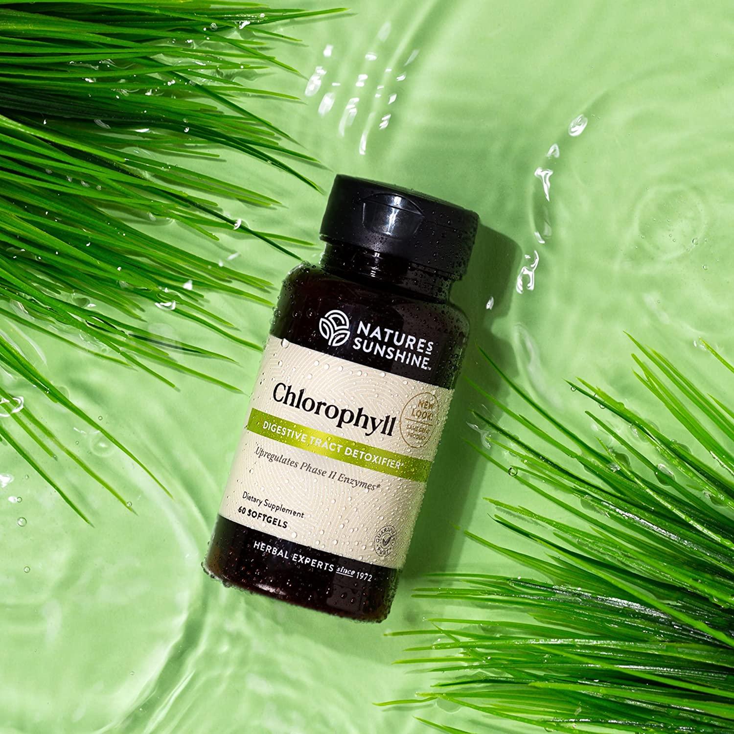 Nature's Sunshine Chlorophyll 60 Softgel Capsules