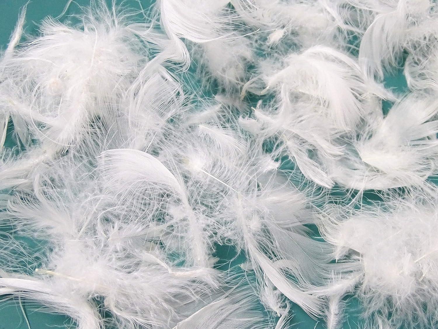 Variety Of Soft And Fluffy Wholesale large goose feathers 