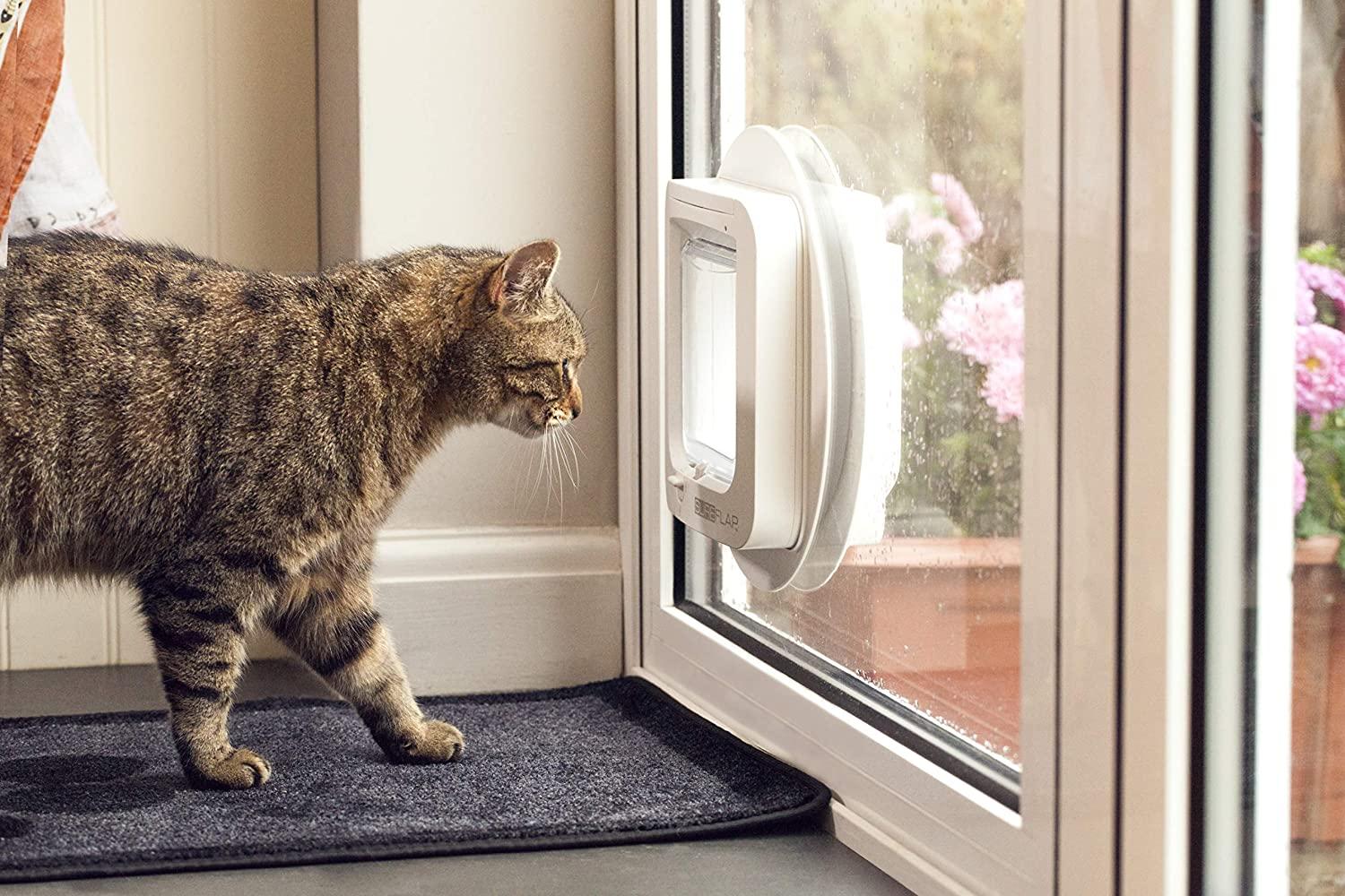 Sure cat hotsell flap not working