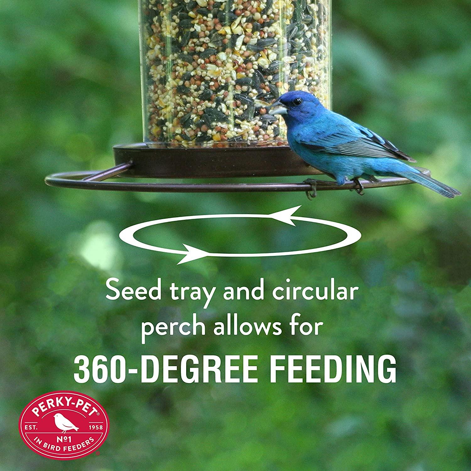 PerkyPet 3121SR Outdoor Panorama Wild Bird Feeder 2 Lb Seed