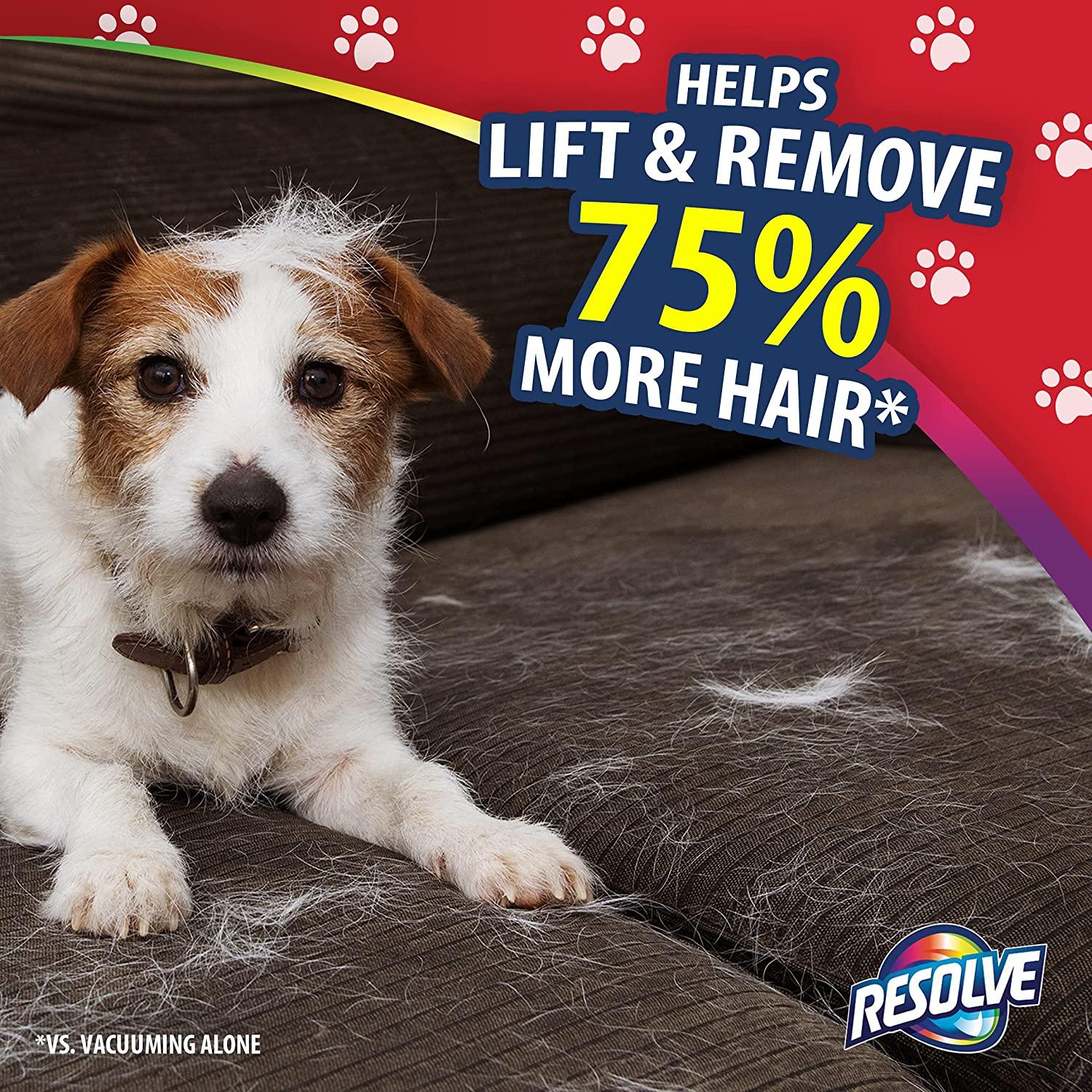 Is Resolve Carpet Cleaner Toxic To Dogs