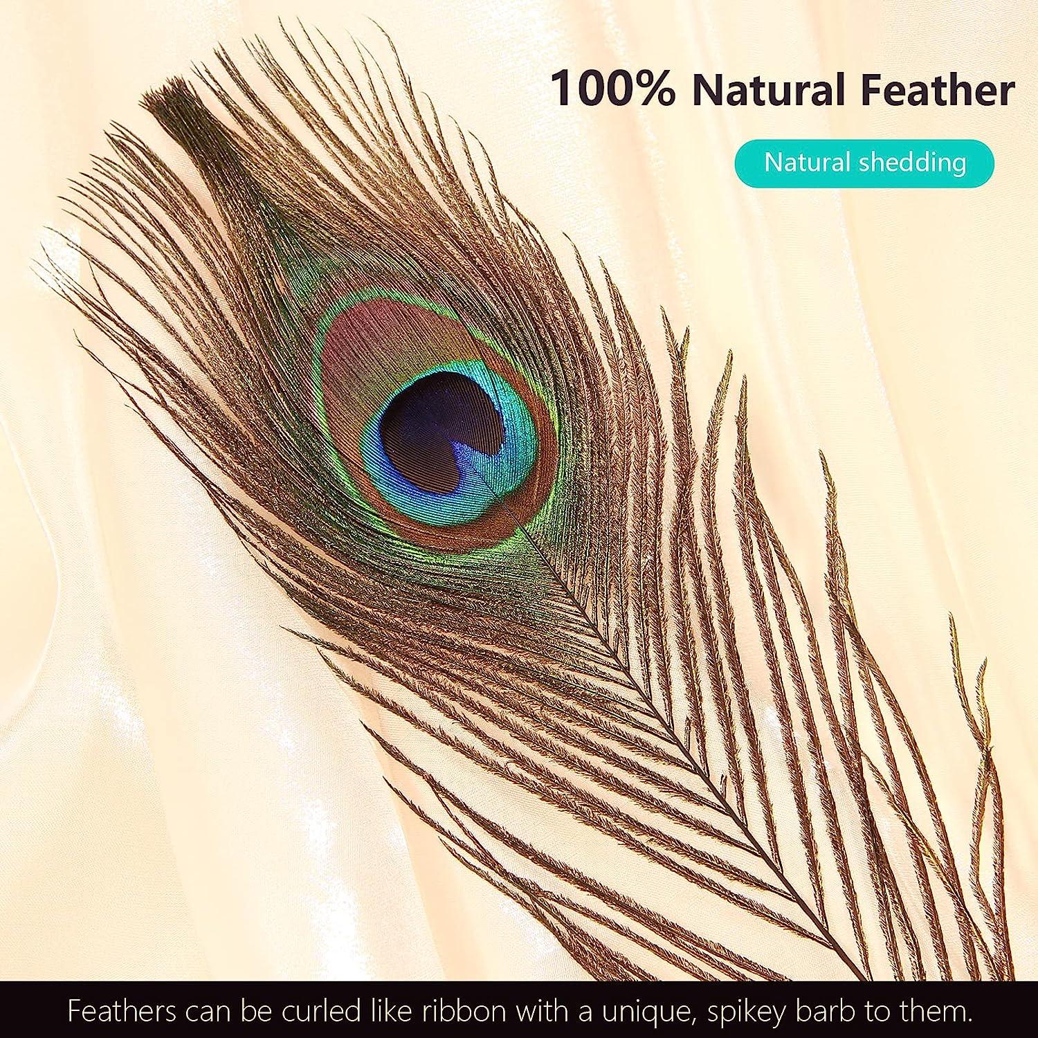 10pcs Realistic Peacock Feathers For Home Decoration, Flower Arrangement  Diy Crafts, Party Background Props