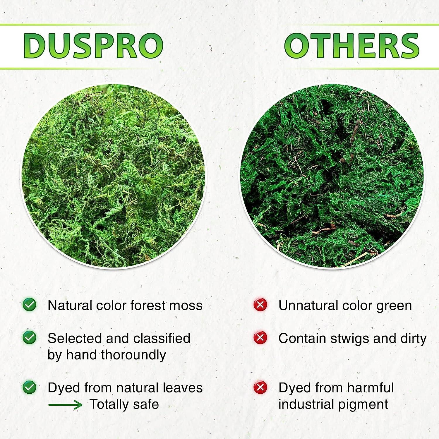 DUSPRO Green Moss for Crafts, Artificial Moss Potted Plants, Decorative  Moss for Table Centerpieces Wedding Christmas Fairy Party Decor, Faux Moss  for