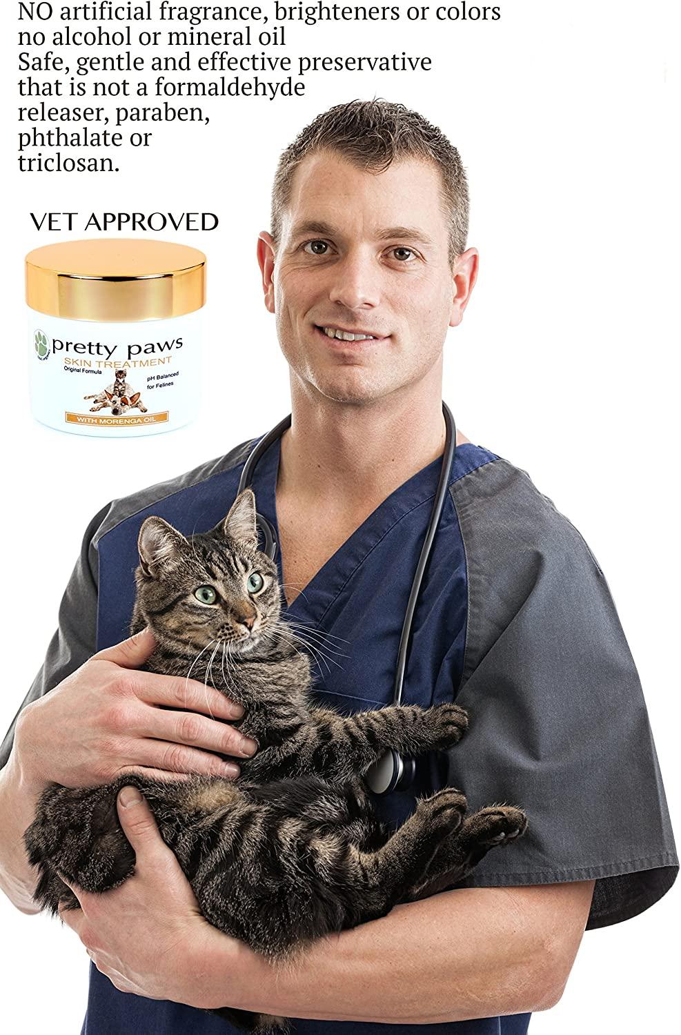 Cat Hot Spot Treatment. Pain Relief for Paw Disorders, Dermatitis