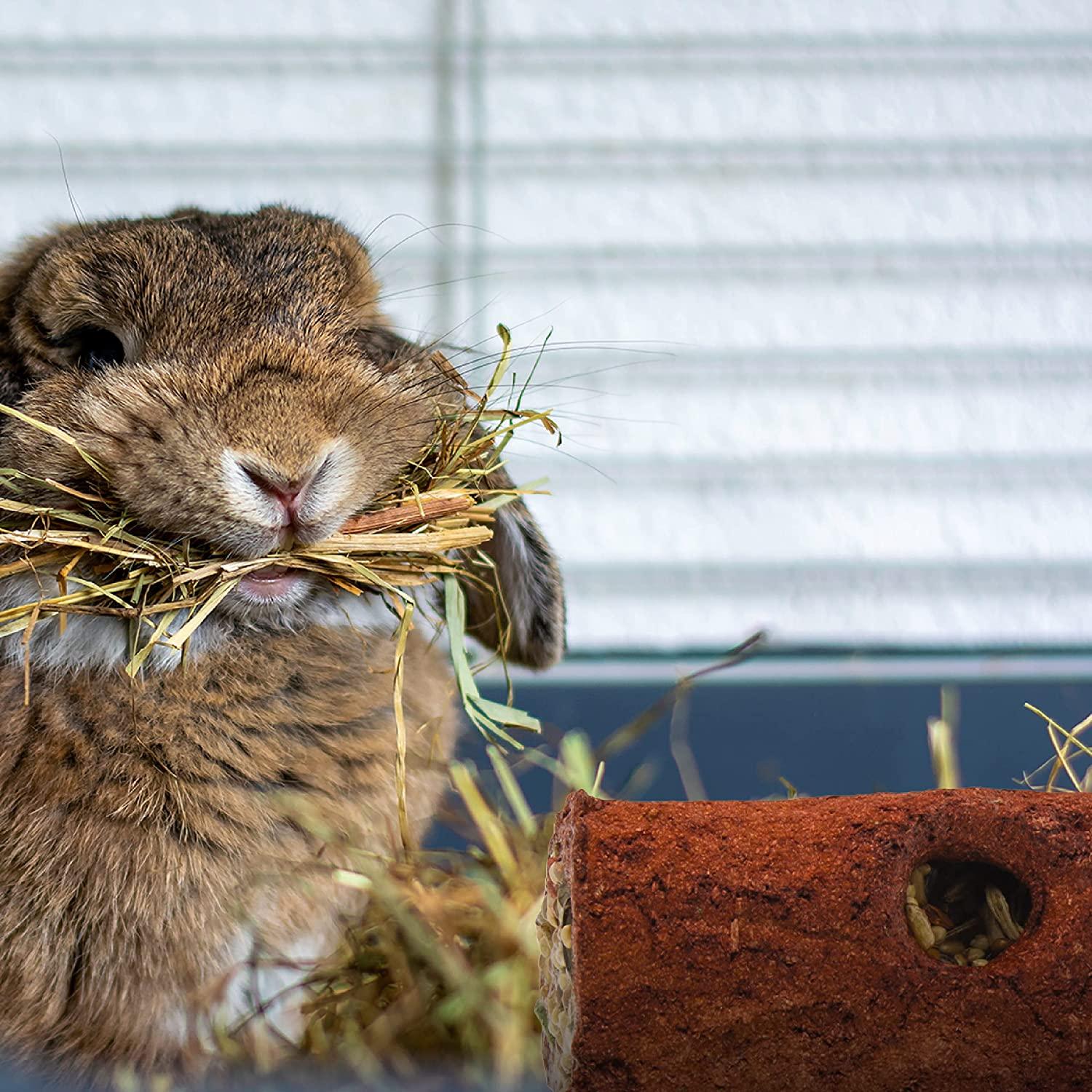 Wild Harvest Stuffed Logz, Edible Treat for Rabbits, Guinea Pigs and Chinchillas, Artificial
