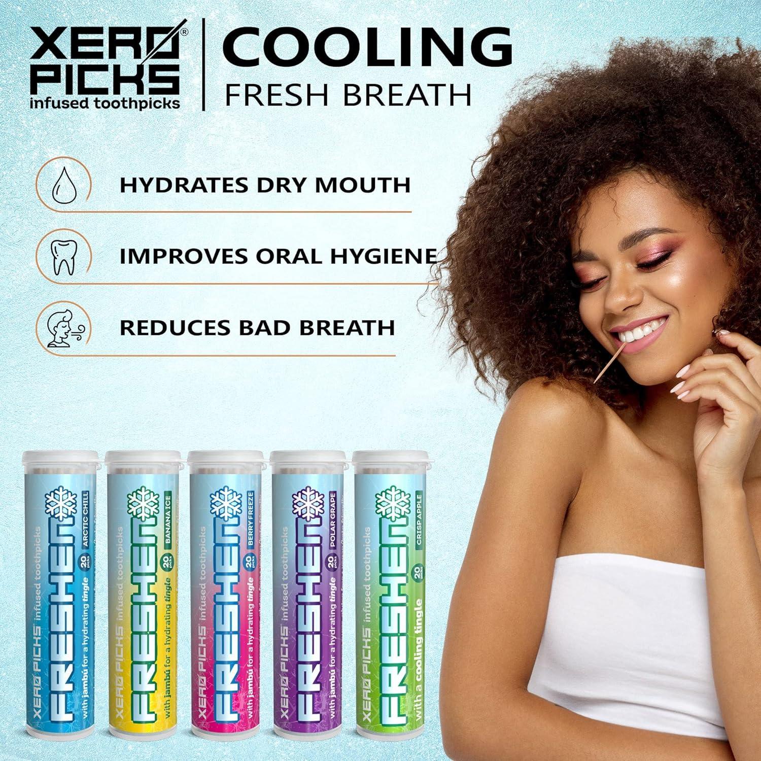 Buy Xero Picks Freshen Toothpicks - 100 Flavored Picks for Fresh Breath ...