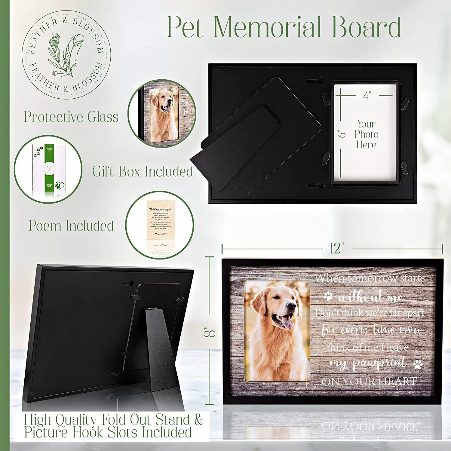 hide Memorial Feather Frame Last Session ミュージシャン hide