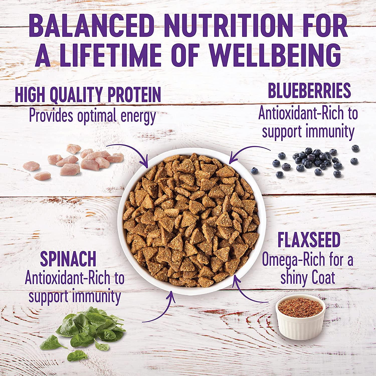 Wellness complete health shop senior small breed