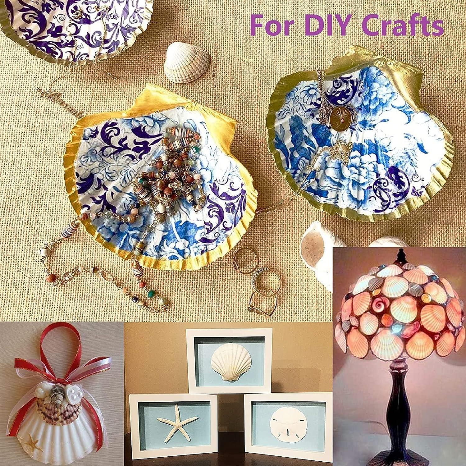 25 Creative, Coastal DIY Seashell Craft Ideas to Make!