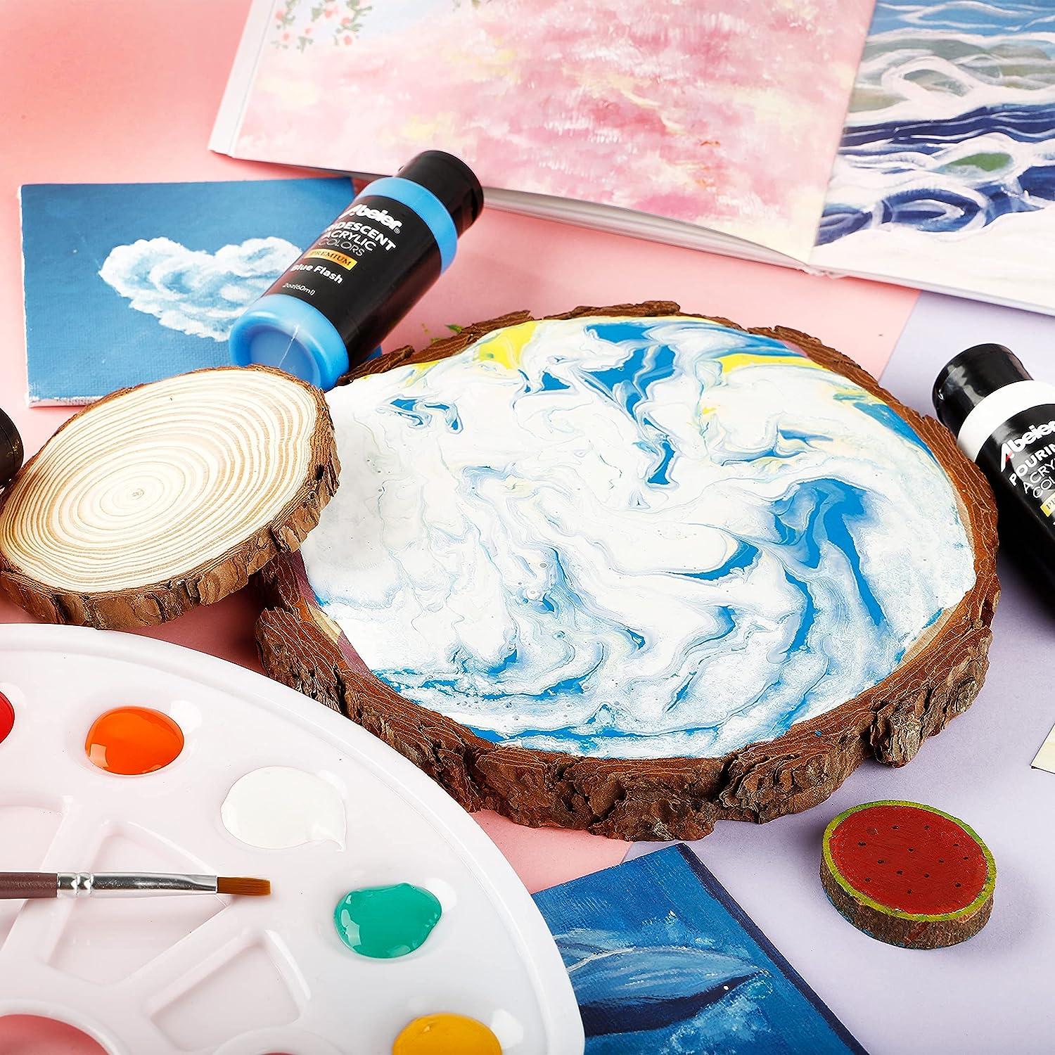 Iriserende Acrylverfset - Kameleonkleuren - Niet giftig - 16 stuks - 60
