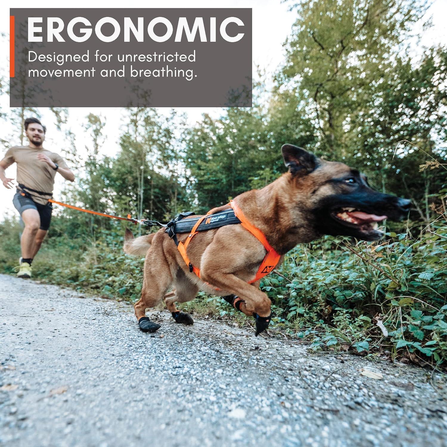 Non-stop dogwear Freemotion Harness 5.0 | Versatile Dog Harness