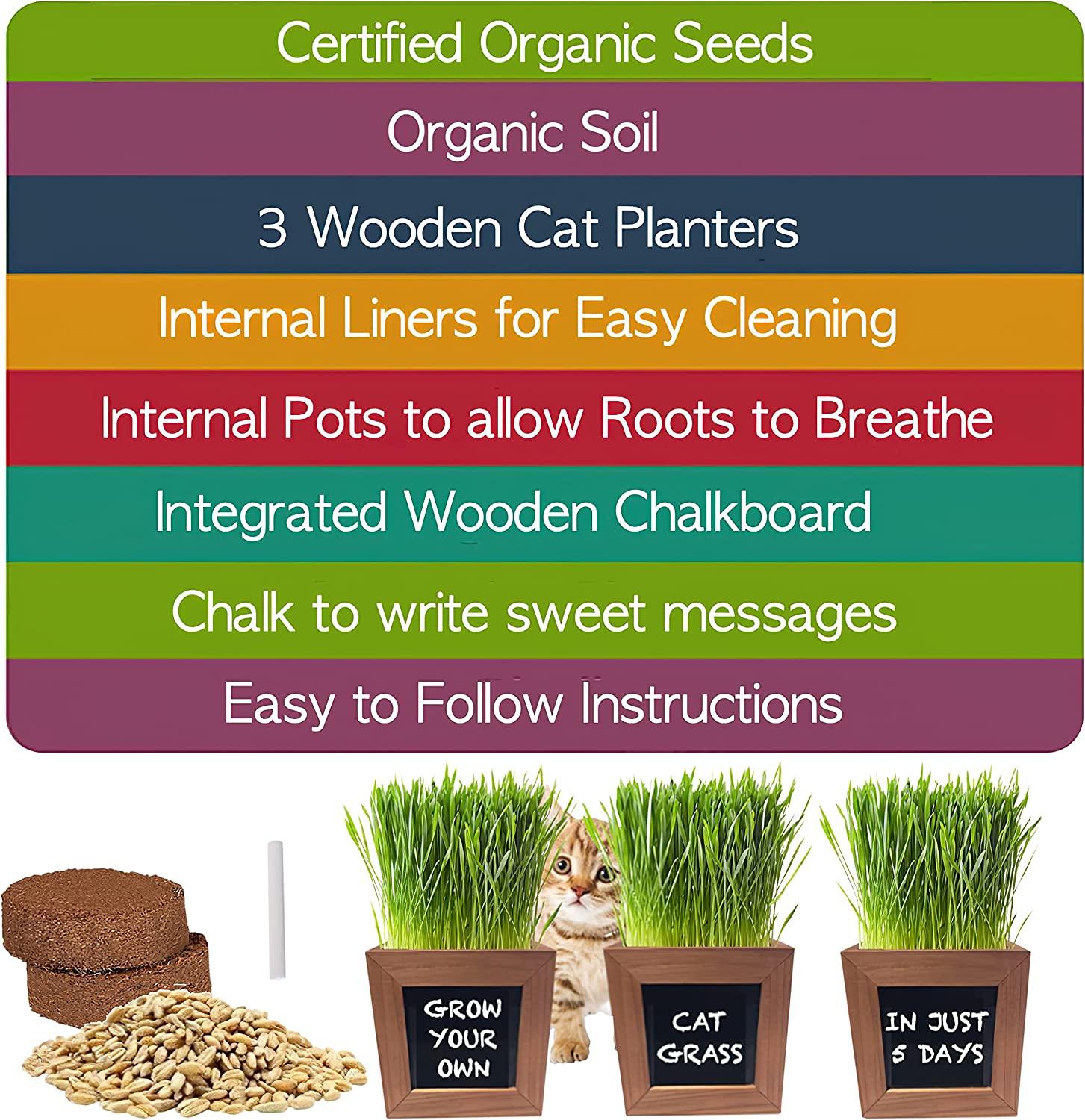 Certified Organic Cat Grass Kit with 3 Wooden Planters Perfect Gift