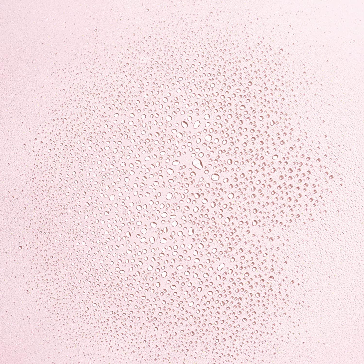 Herbivore Botanicals Rose Hibiscus Coconut Water Hydrating Face Mist 4 oz