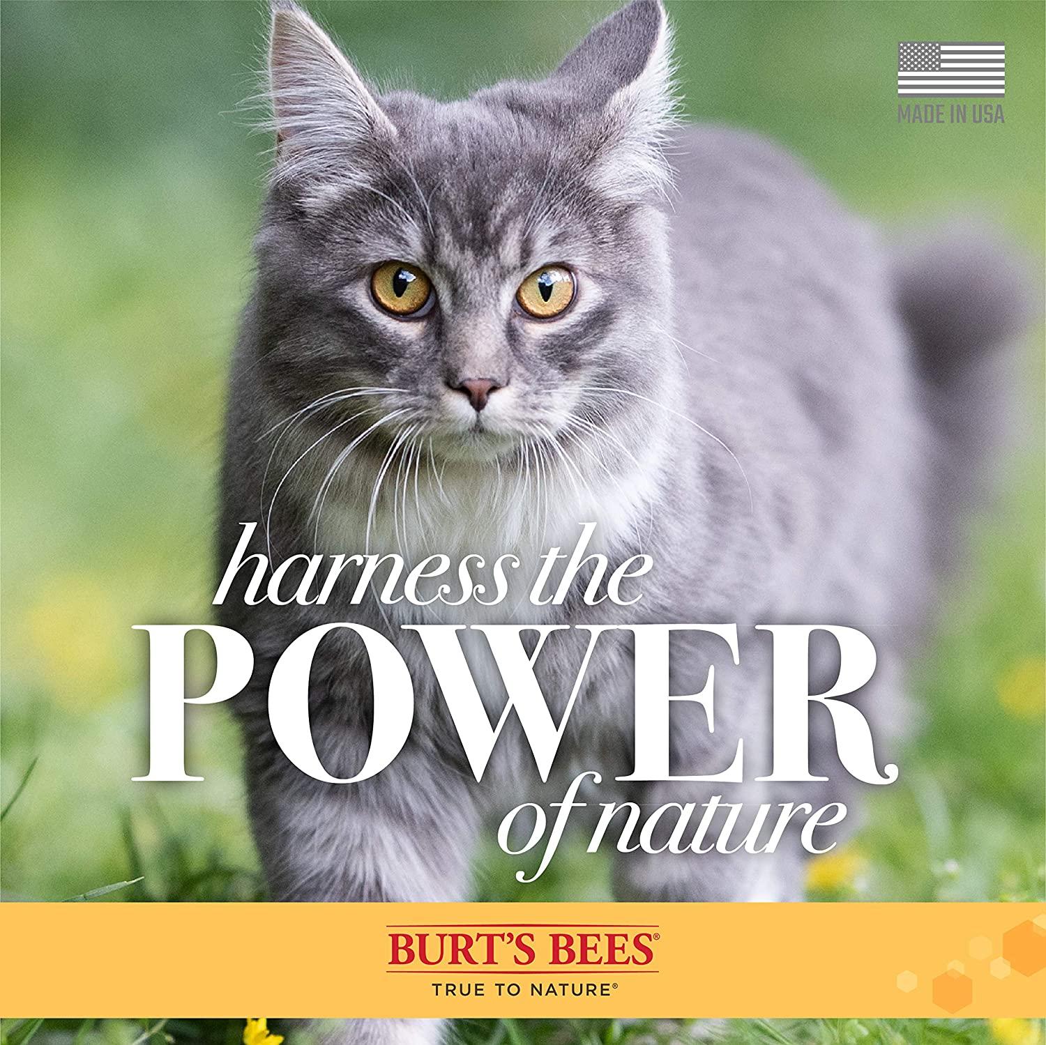 Burt's Bees Dander Reducing Spray for Cats with Colloidal Oat Flour & Aloe Vera 10