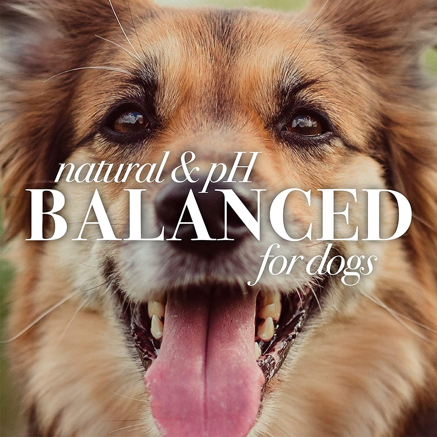 Burt's Bees TearStain Remover for Dogs with Chamomile 4 fl oz (120 ml)