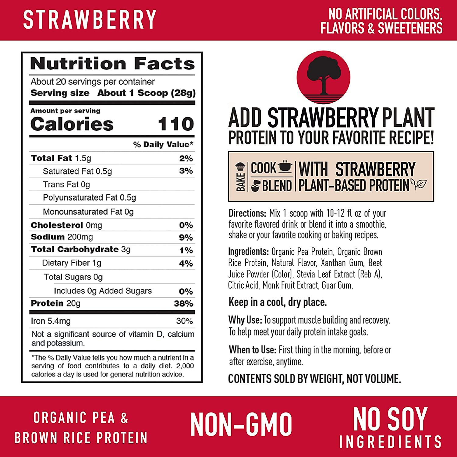 Nature's Best Plant Protein