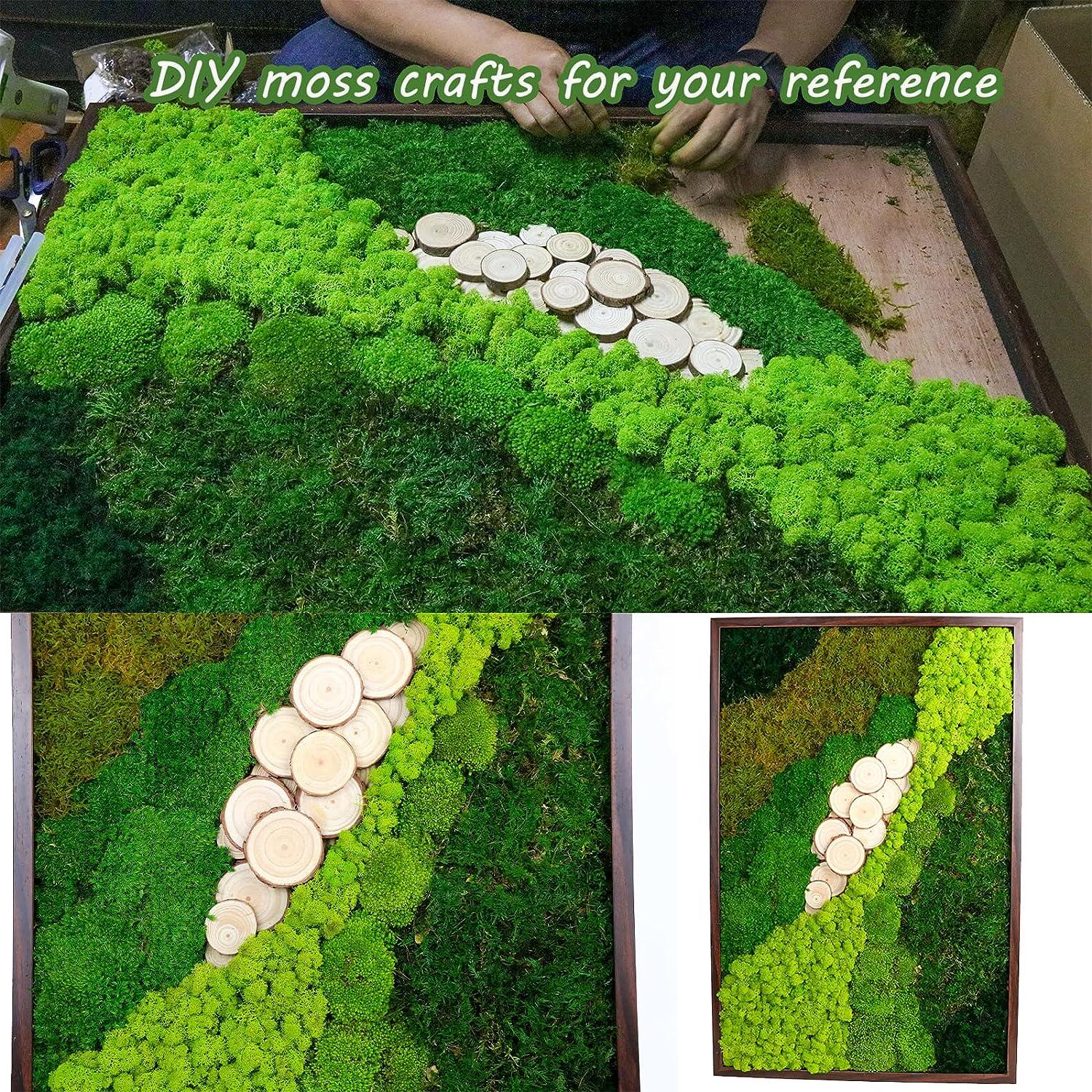 1.5sq. Ft Preserved Moss Pole Moss Pillow Moss Colored Decorative