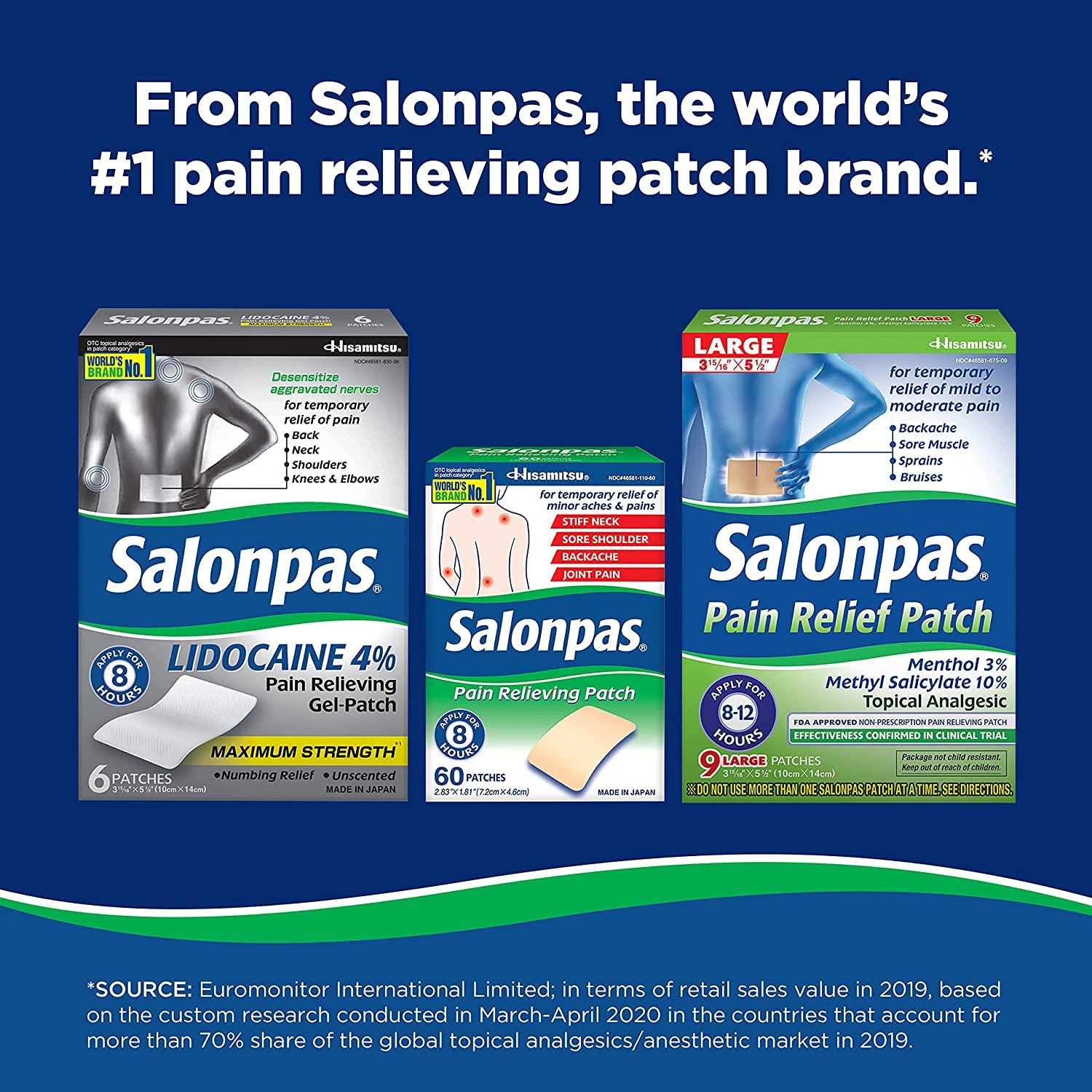 Salonpas Pain Relieving Patch 60 Patches for Effective Pain Relief