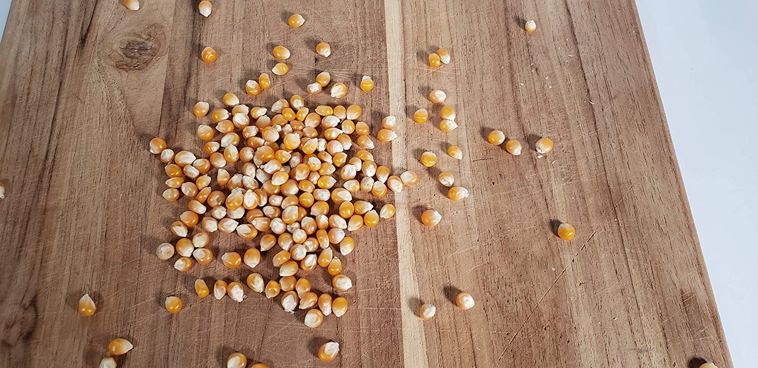 Mushroom Popcorn Kernels by Princeton Popcorn Farm Grown, Non GMO