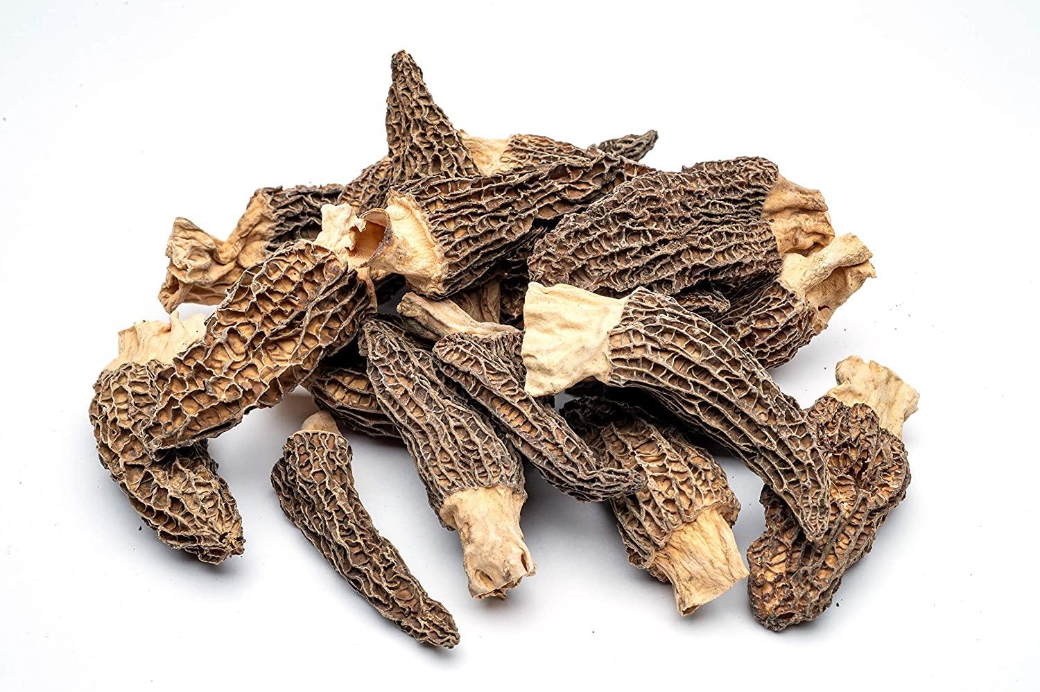 Slofoodgroup Dried Morel Mushrooms (Morchella Conica) Gourmet Morel
