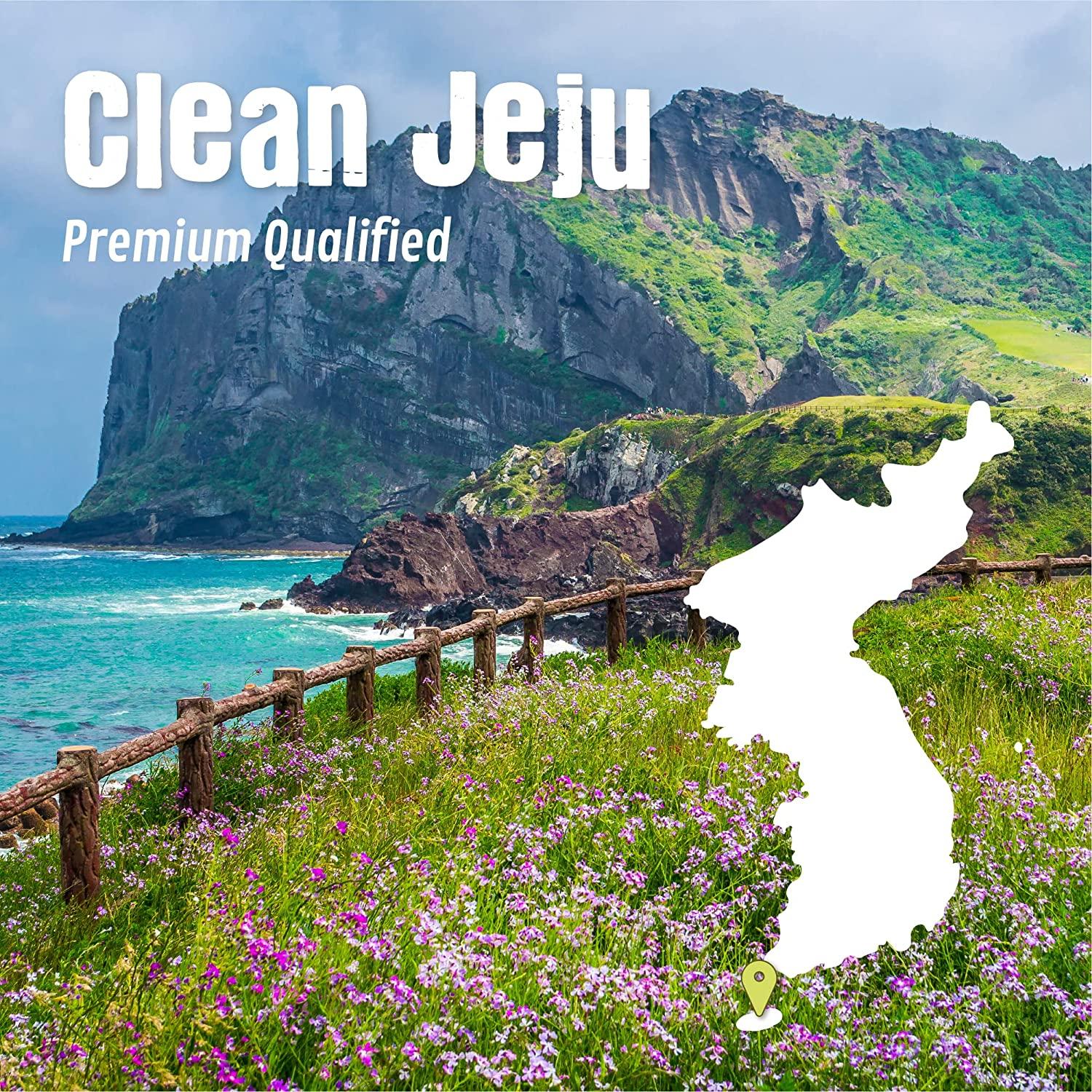 Korean Premium Dried & Sliced Daikon Radish 6 Ounce from Jeju Island