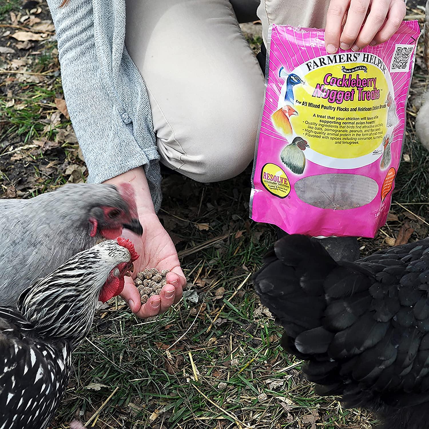 Farmers' Helper Cackleberry Nugget Treat For Chickens, Turkeys, Peafowl
