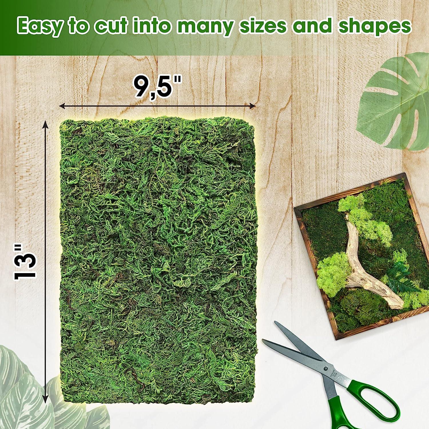 DUSPRO Green Moss for Crafts, Artificial Moss Potted Plants, Decorative Moss for Table Centerpieces Wedding Christmas Fairy Party Decor, Faux Moss