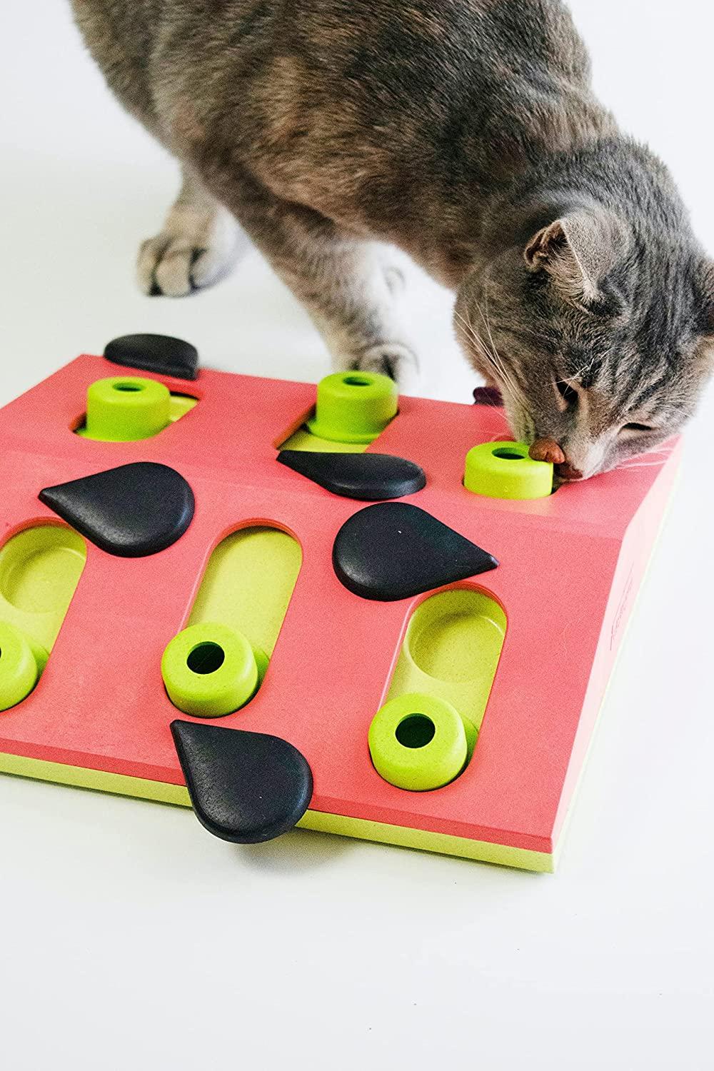 Nina Ottosson Melon Madness Puzzle & Play for Cats - Mind Body and Bowl