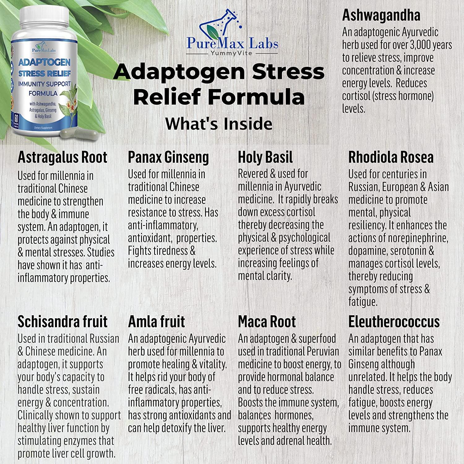 Adaptogen Stress Relief Immune Support Formula, 60 Capsules, Adrenal