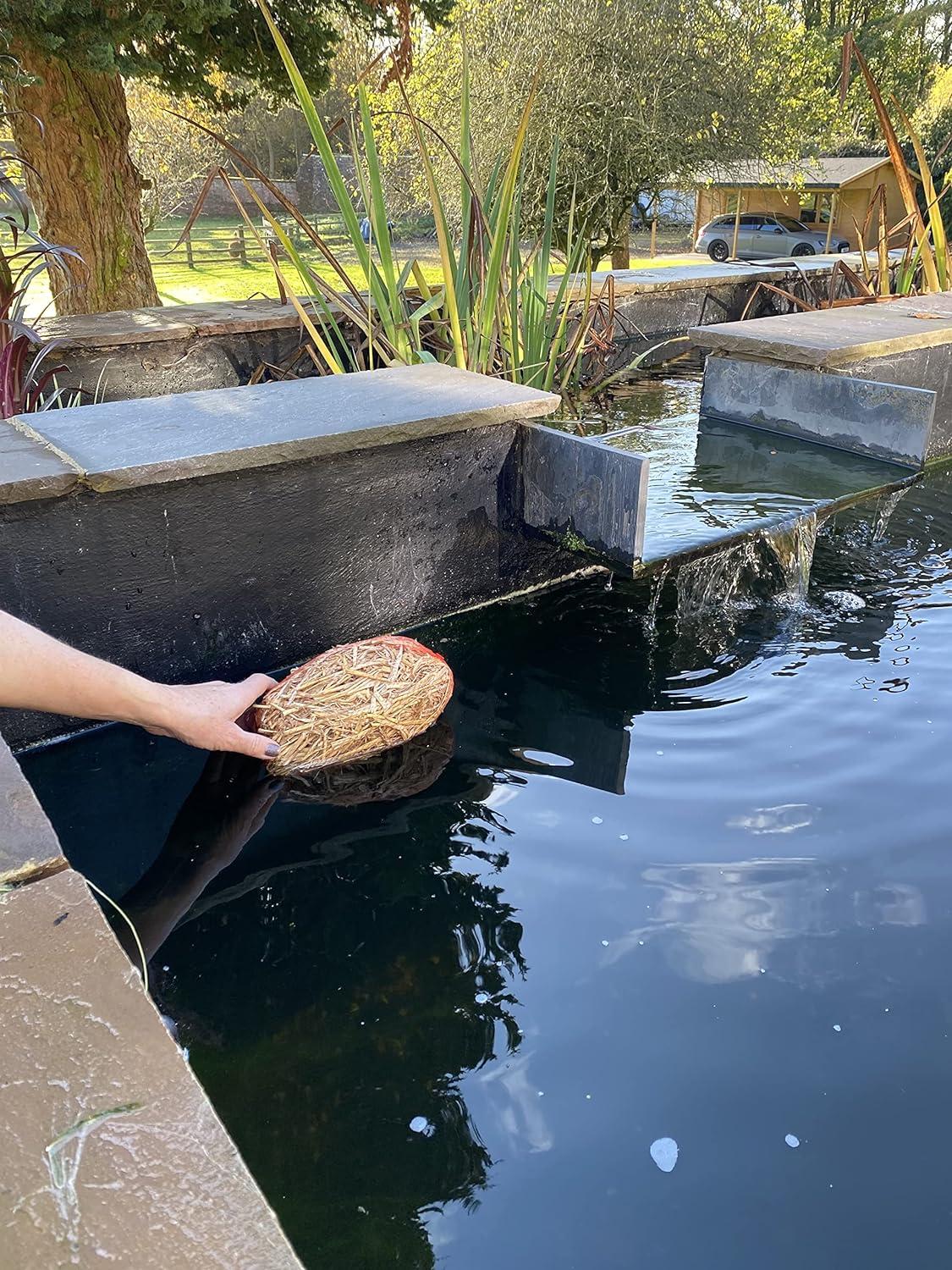 Barley straw for ponds Barley straw treatment Extract and treat