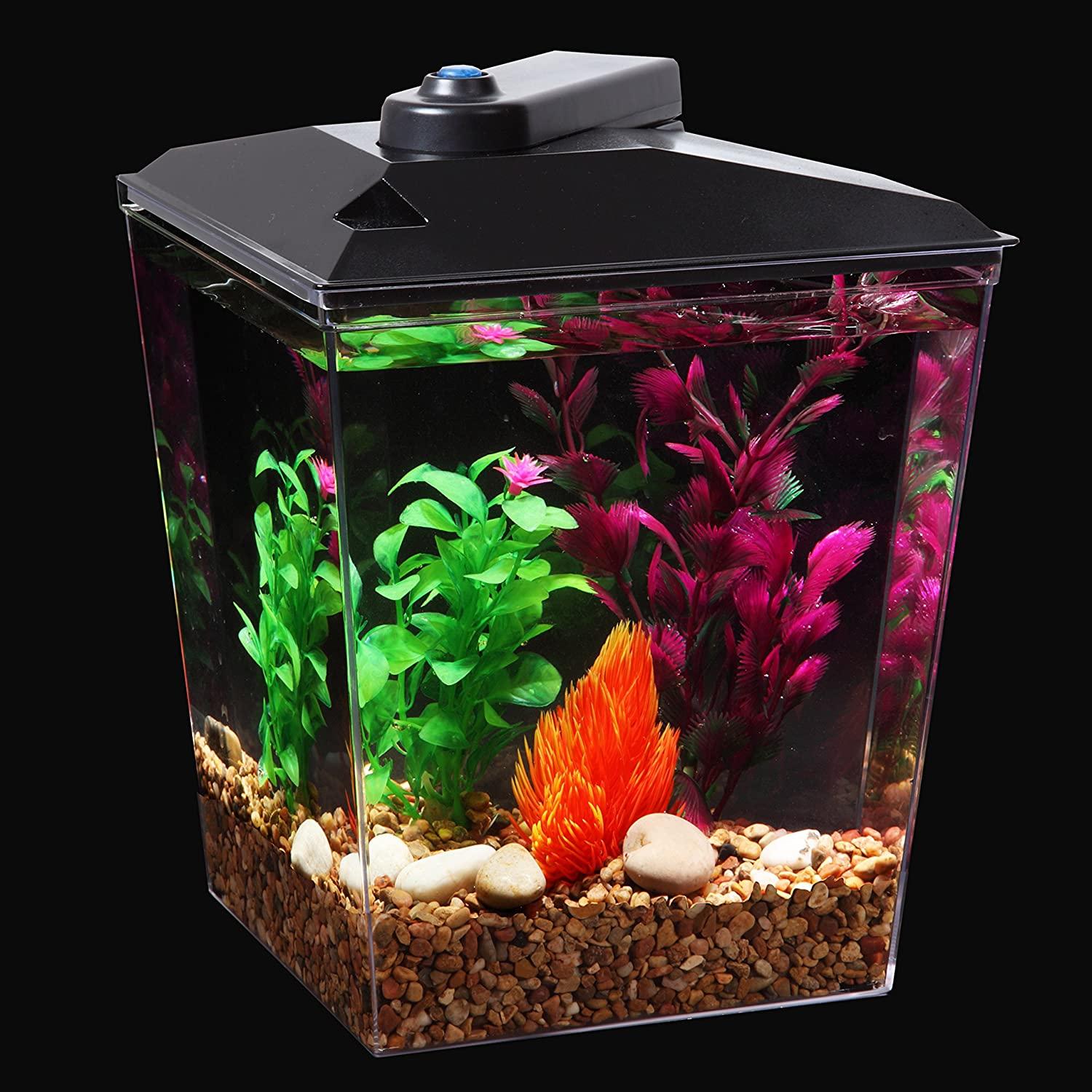 Koller Products AquaView 2.5-Gallon Fish Tank with Power Filter and LED  Lighting (7 Color Selections)