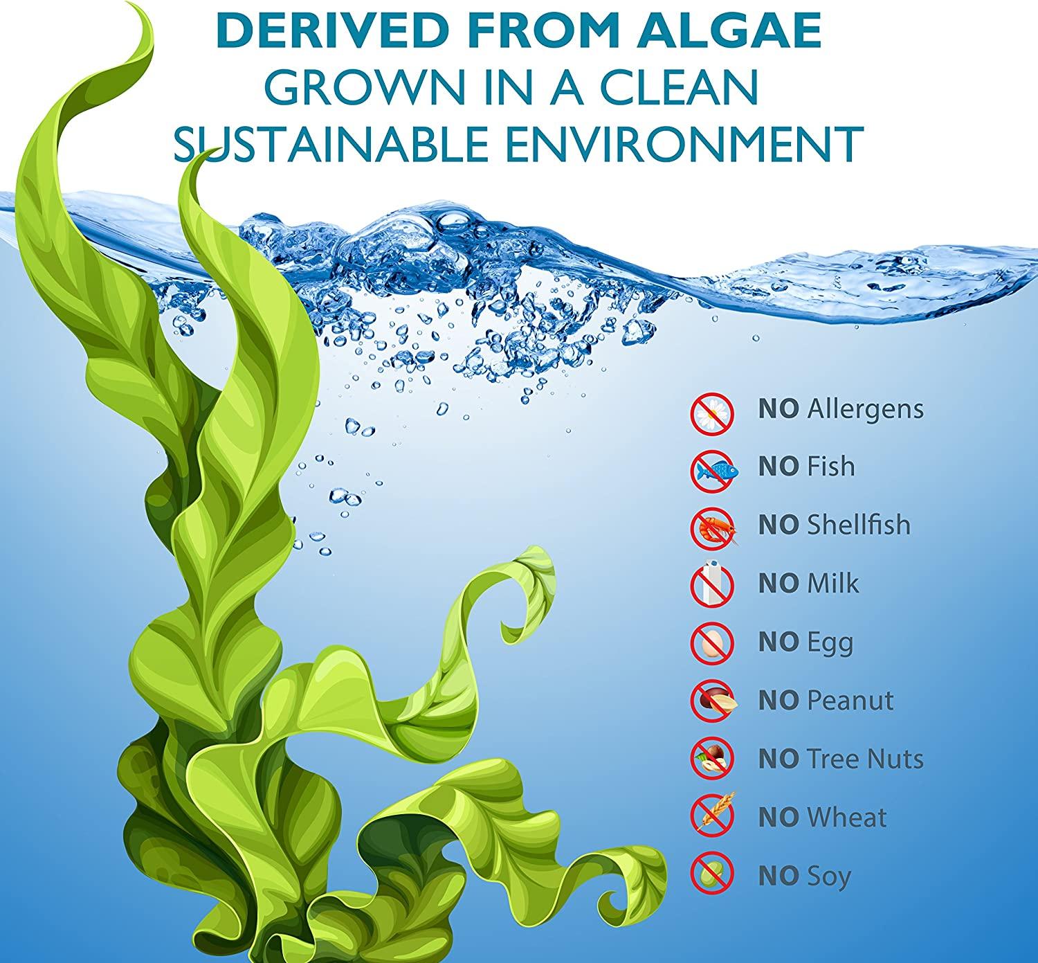 Diet Standards Vegetarian Prenatal DHA 100 Plant Based DHA Prenatal