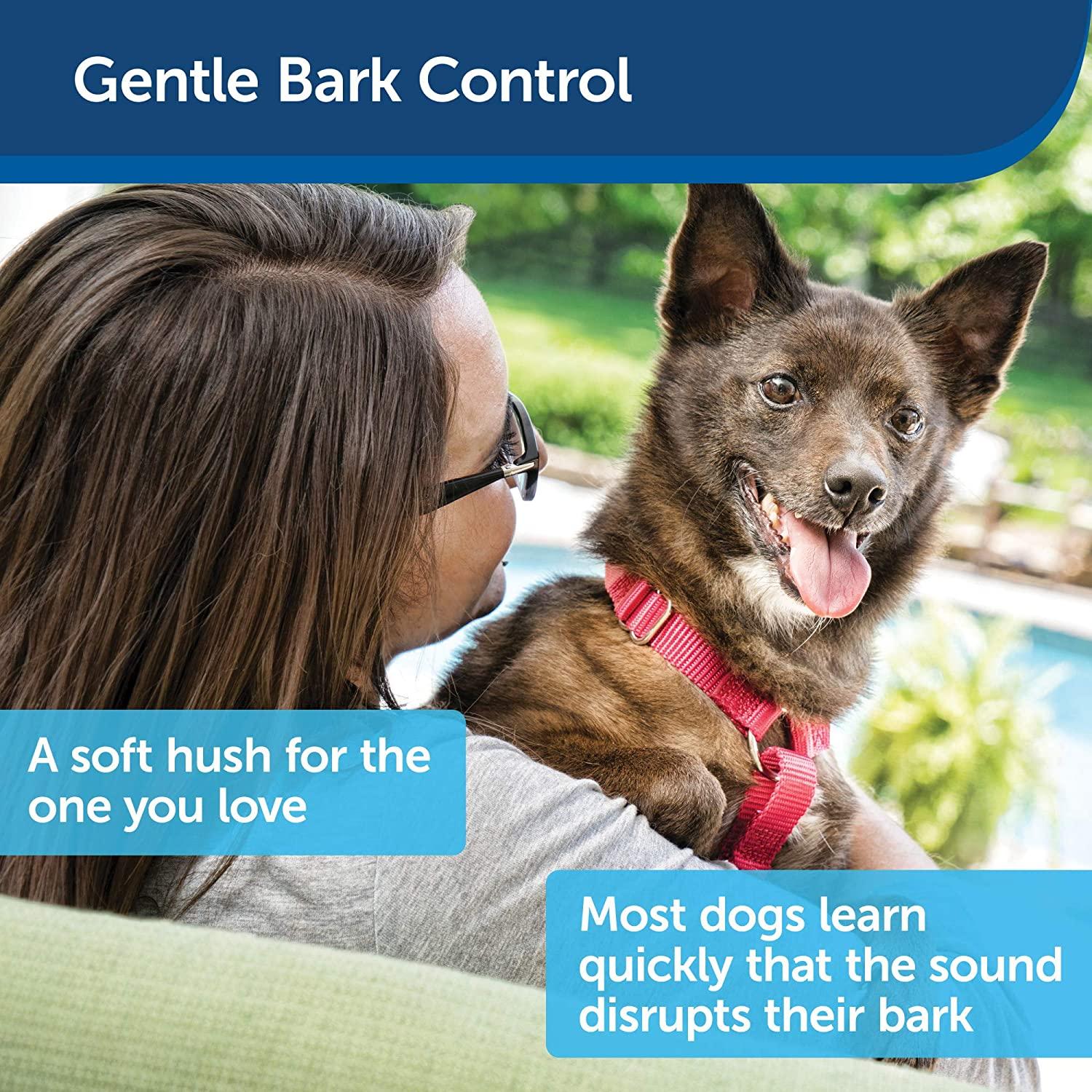 PetSafe Outdoor Ultrasonic Bark Control Deterrent for All Dog Sizes