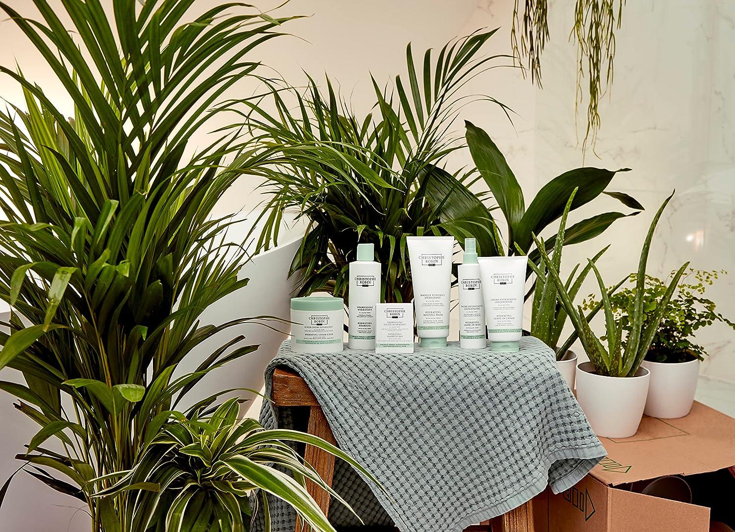 Christophe Robin Hydrating Leave-In Mist with Aloe Vera 5 fl. oz. -  Ultimate Hair Hydration | Buy Now with Express International Delivery |  GoSupps.com