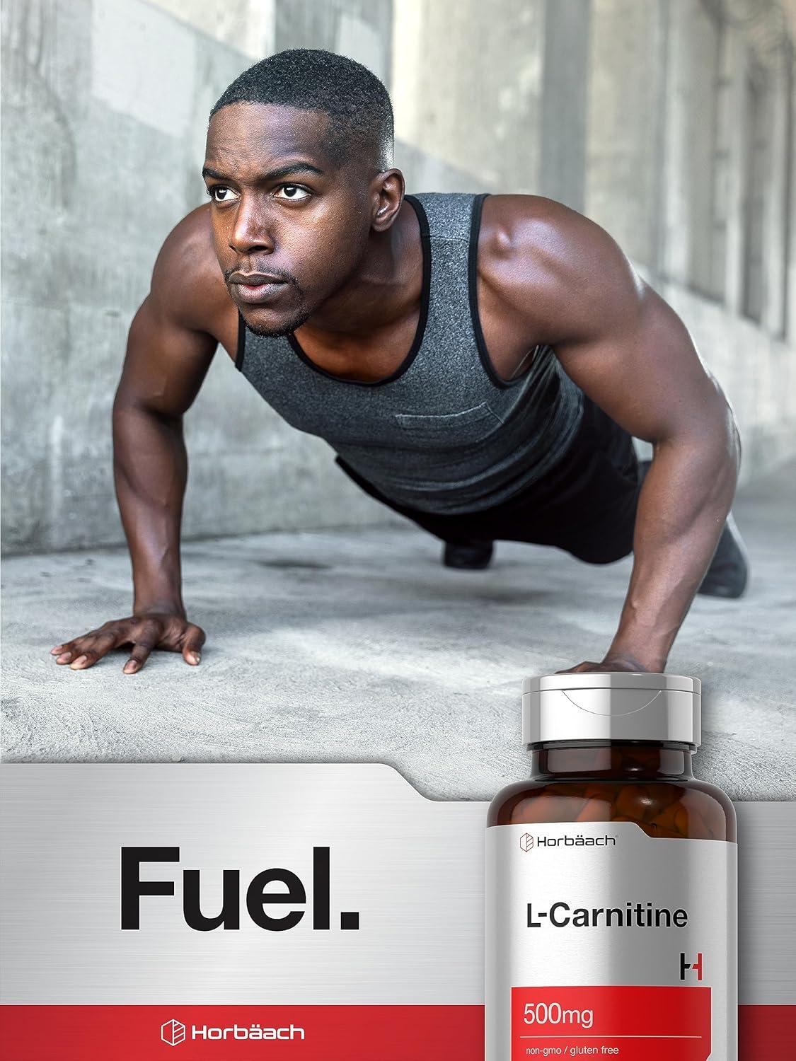 acetyl l carnitine ما هو Acetyl-L-carnitine – Cellular energy – Life Extension Europe